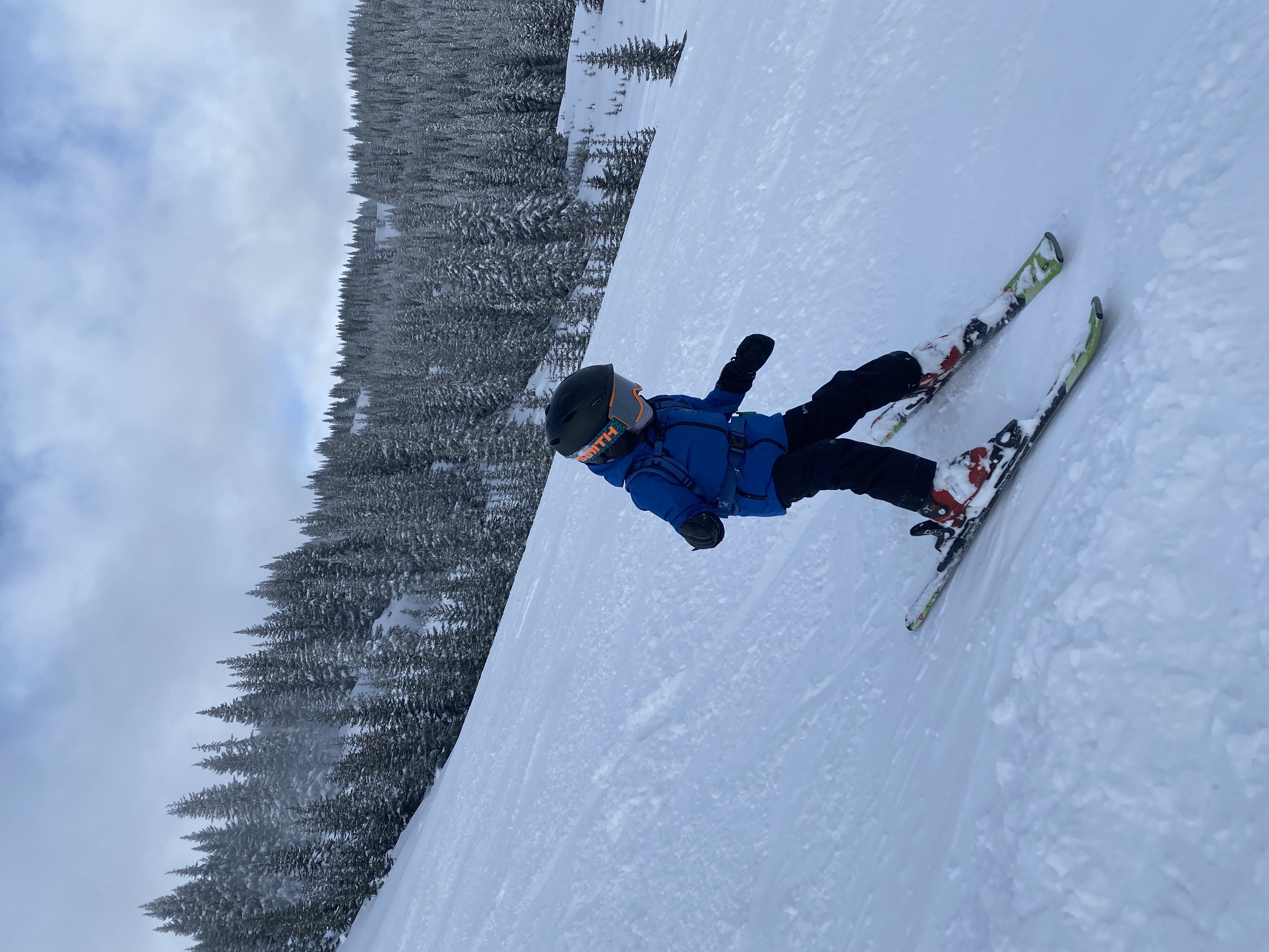Child in blue jacket skiing down a snowy slope with snow-covered trees in the background.