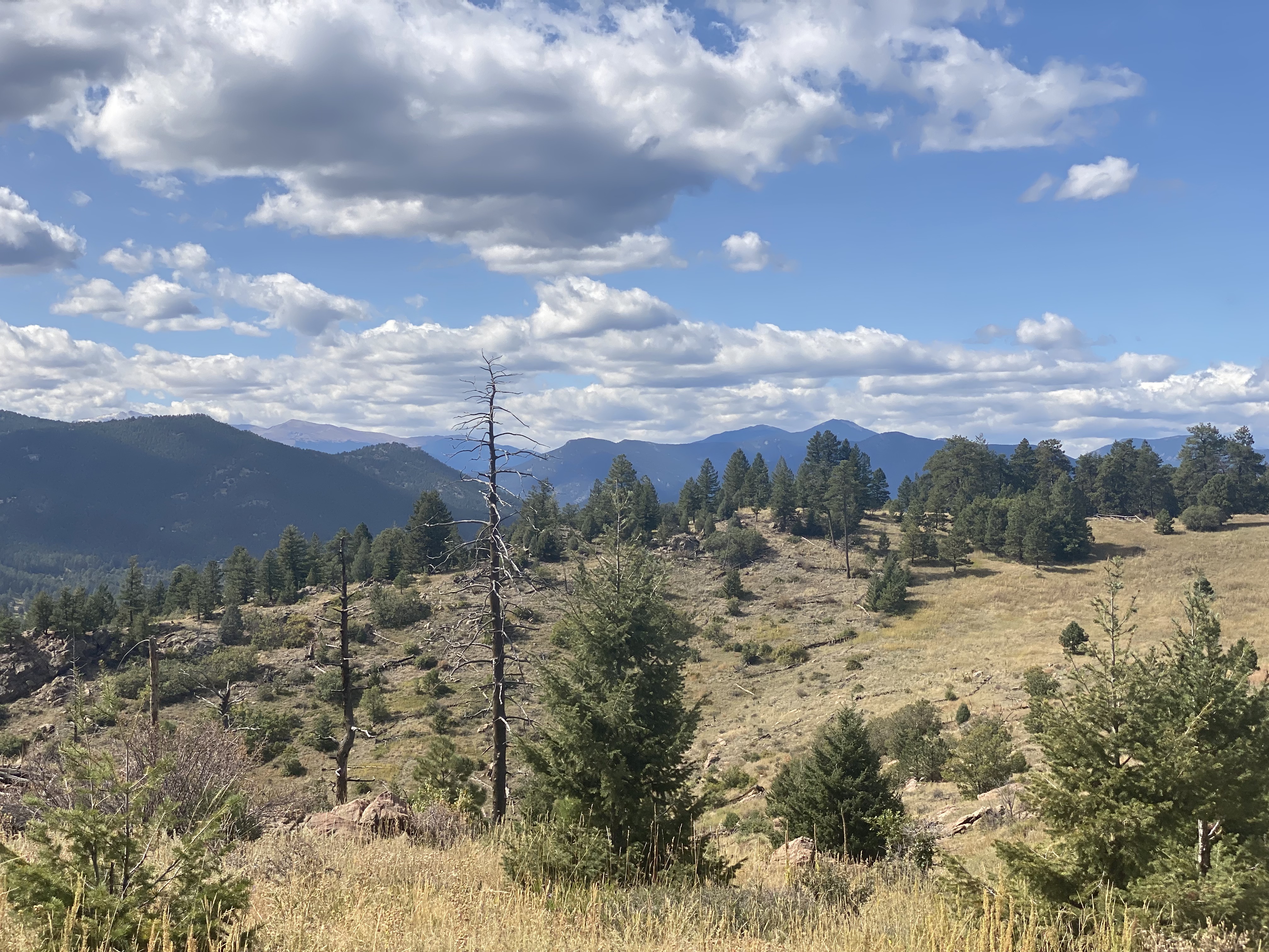 Scenic mountain landscape of Mt. Falcon with rolling hills, scattered evergreen trees, dry grass, and a partly cloudy sky.