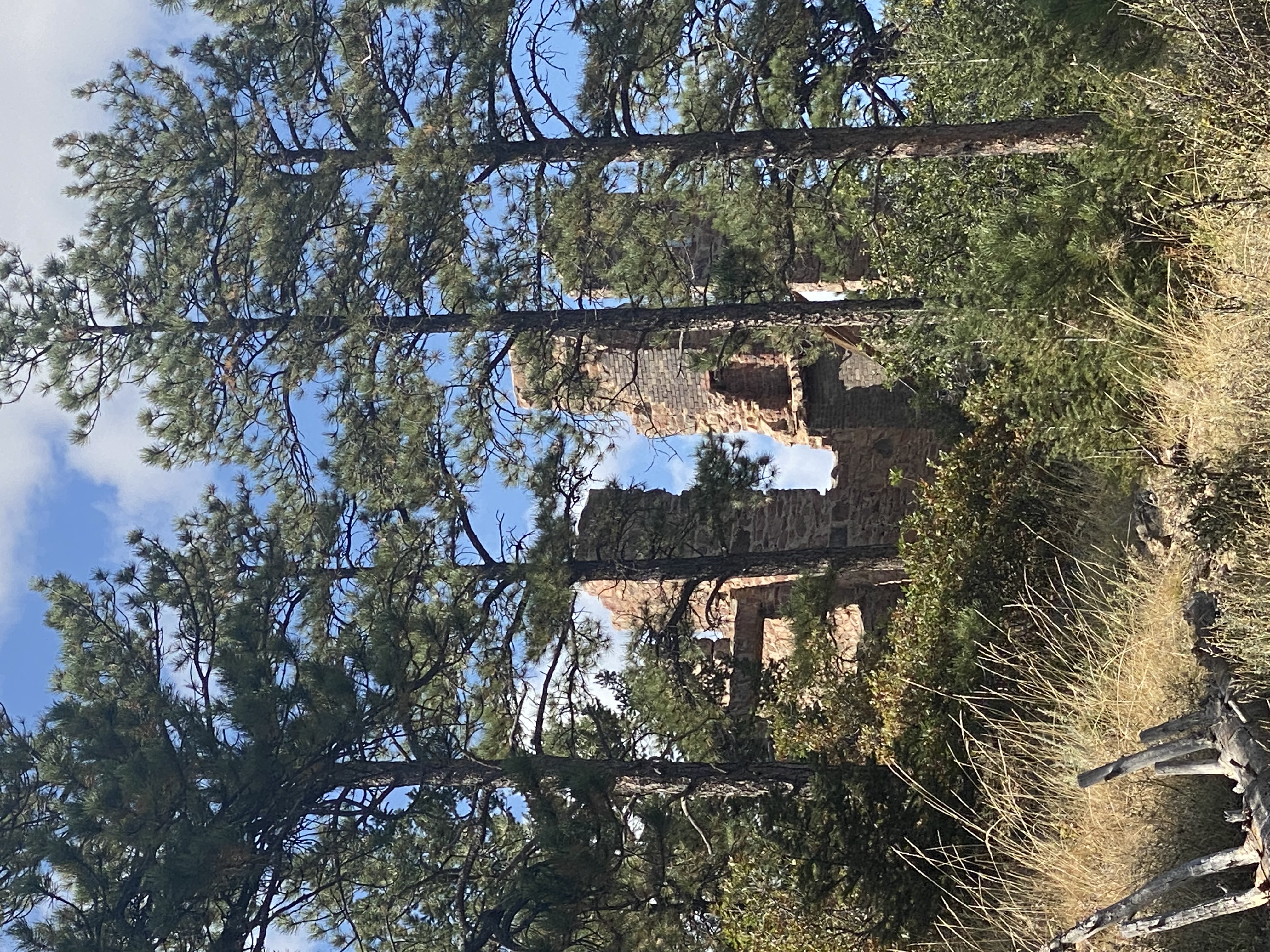 Ruined stone structure partially hidden on Mt. Falcon among tall pine trees and dry grass under a blue sky with some clouds.