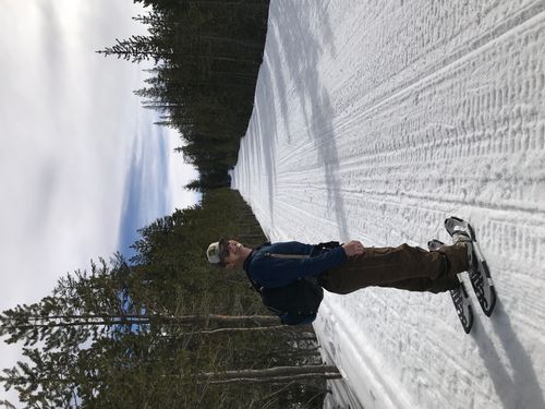 Man wearing sunglasses and a cap snowshoeing on a wide snow-covered trail lined with pine trees.