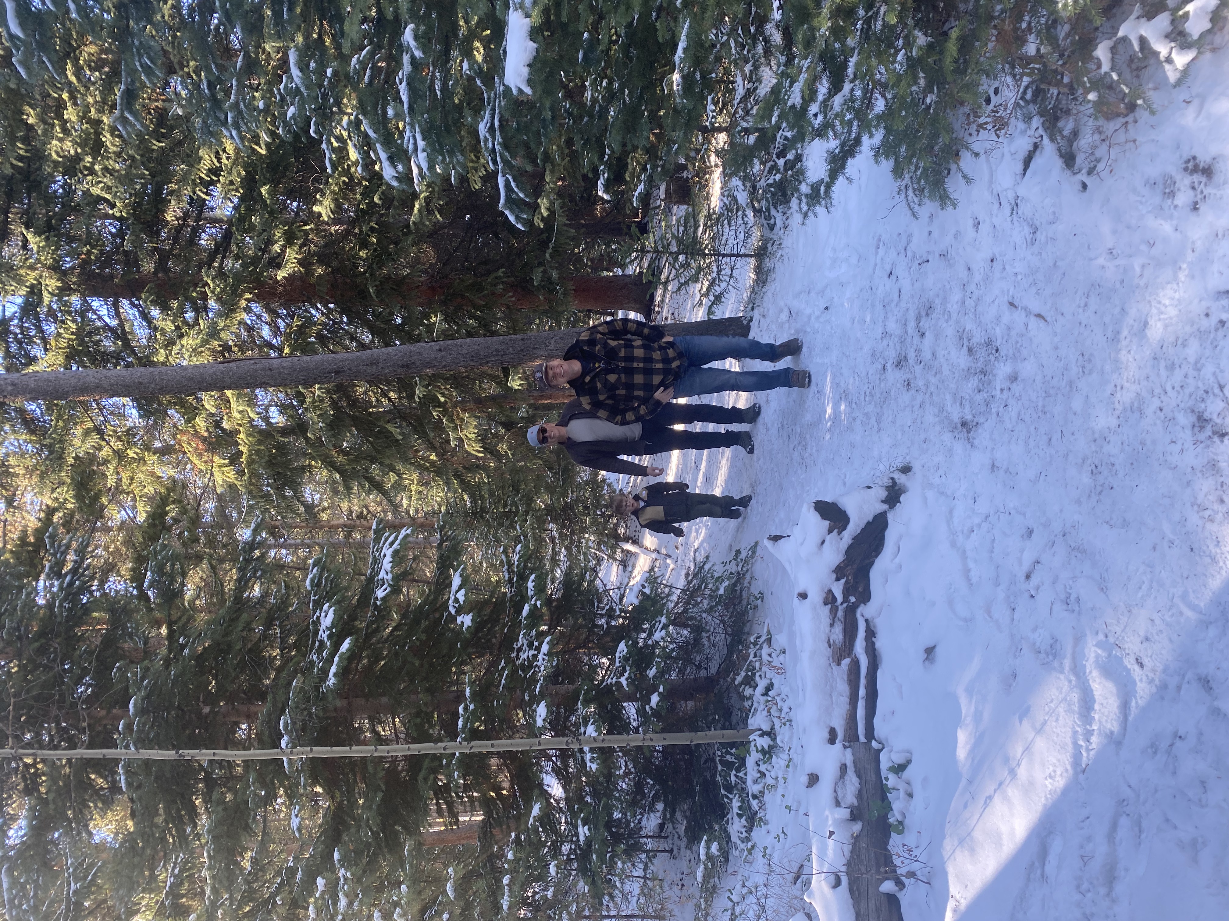 Three people walking on a snowy forest trail surrounded by evergreen trees with sunlight filtering through.