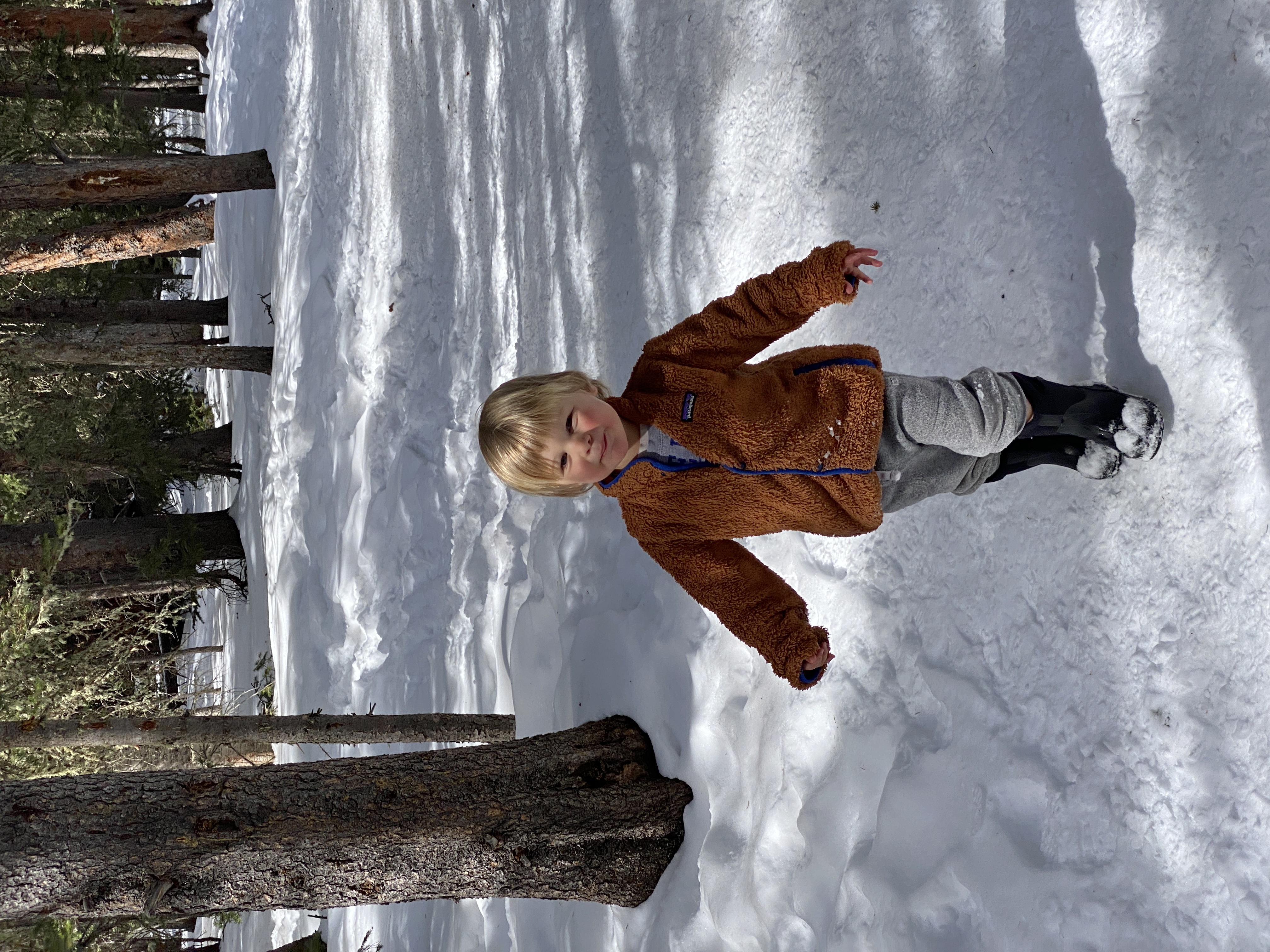 Young child in a brown fleece jacket and gray pants walking on a snowy path in a forest.