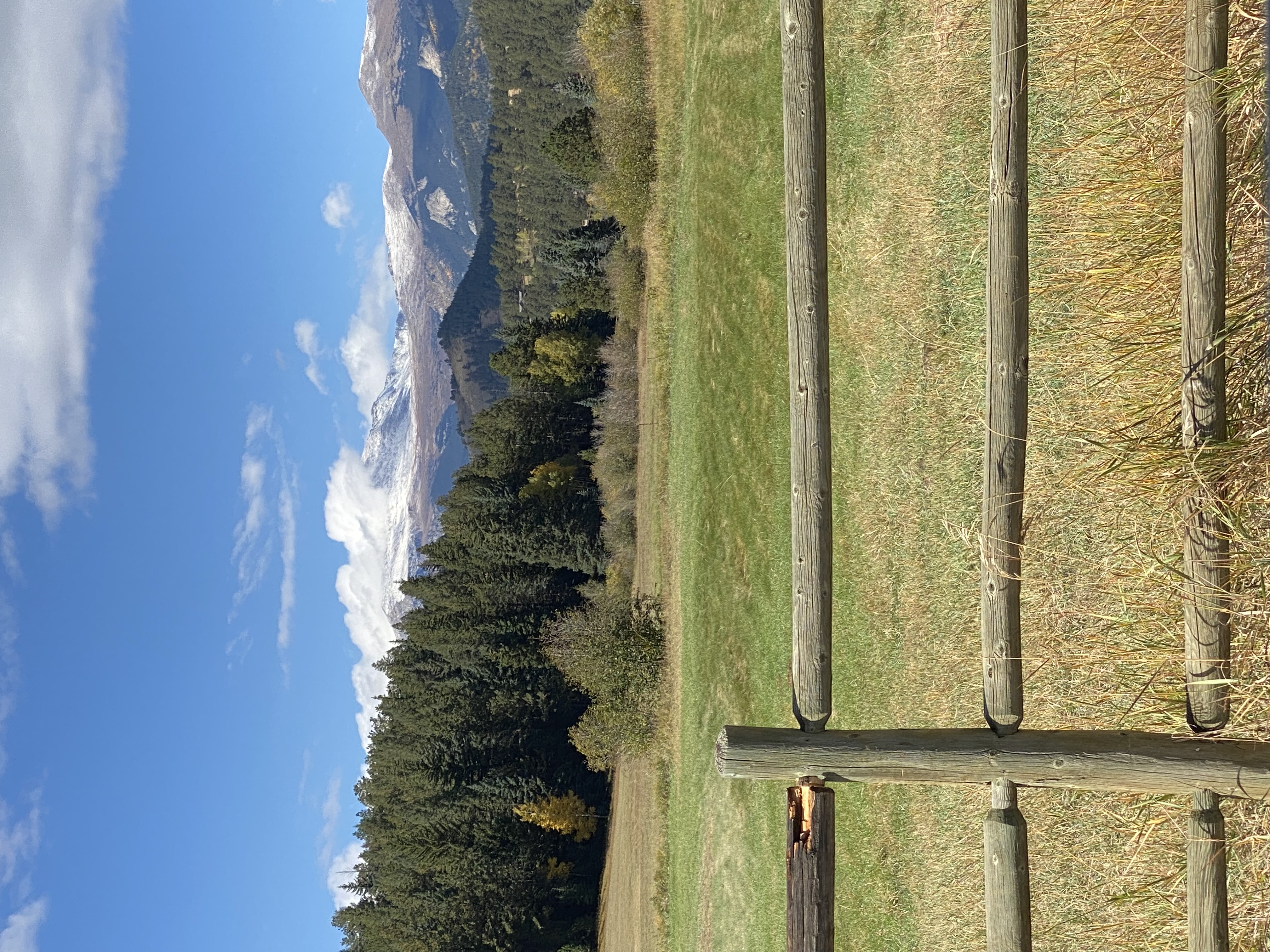 Wooden fence in a grassy field with dense pine trees and snow-capped mountains under a blue sky with scattered clouds at Willie Nelson's old ranch.
