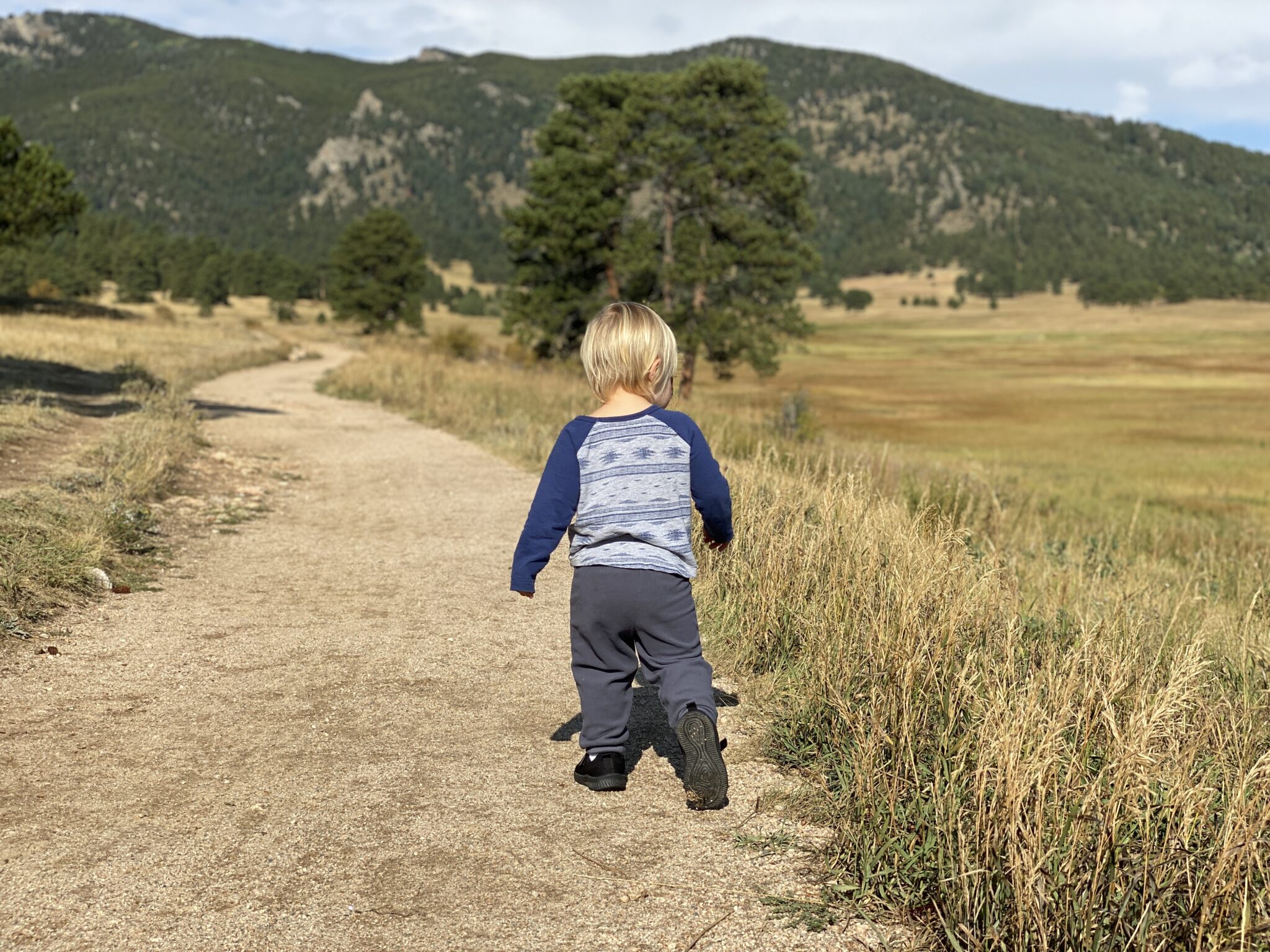 Young child with blonde hair walking away on a dirt path bordered by dry grass, with green mountains and trees in the background.