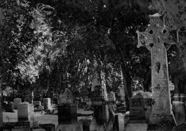 Black and white photo of a cemetery with various tombstones and a prominent ornate Celtic cross gravestone surrounded by trees.