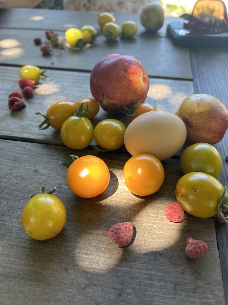 Assortment of yellow cherry tomatoes, red raspberries, a light brown egg, and two peaches on a wooden table in sunlight.
