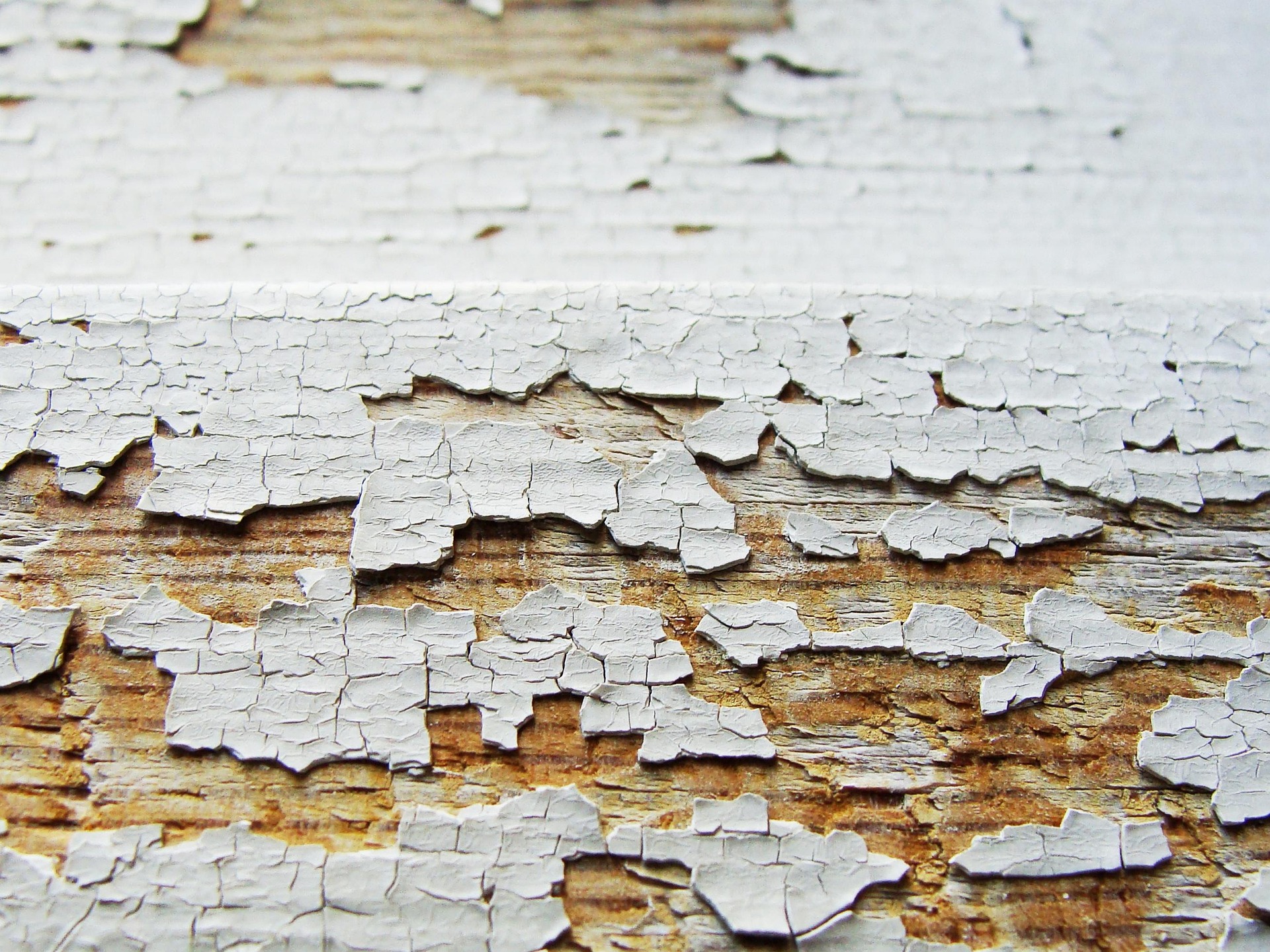 Close-up of cracked and peeling white paint on old weathered wood.