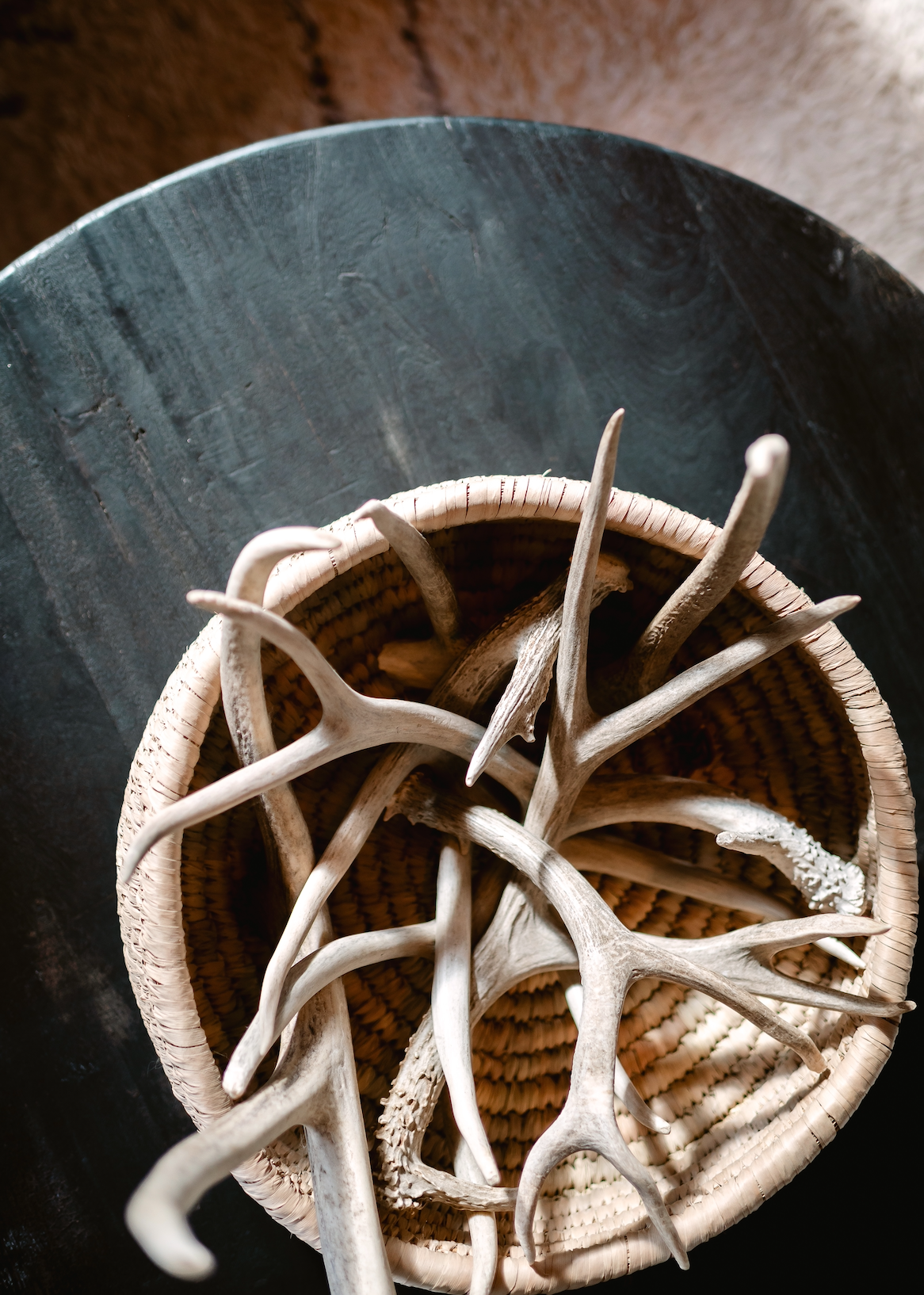 Top-down view of several light-colored antlers arranged inside a woven basket placed on a dark wooden surface.