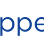 FlexShopper logo