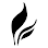 Full Leaf Tea Company logo