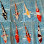 Aquatics to Your Door logo