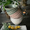 Burford Garden Company logo