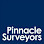 Pinnacle Surveyors Ltd logo