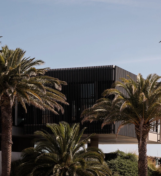 Modern building with vertical slats surrounded by tall palm trees under a clear sky.