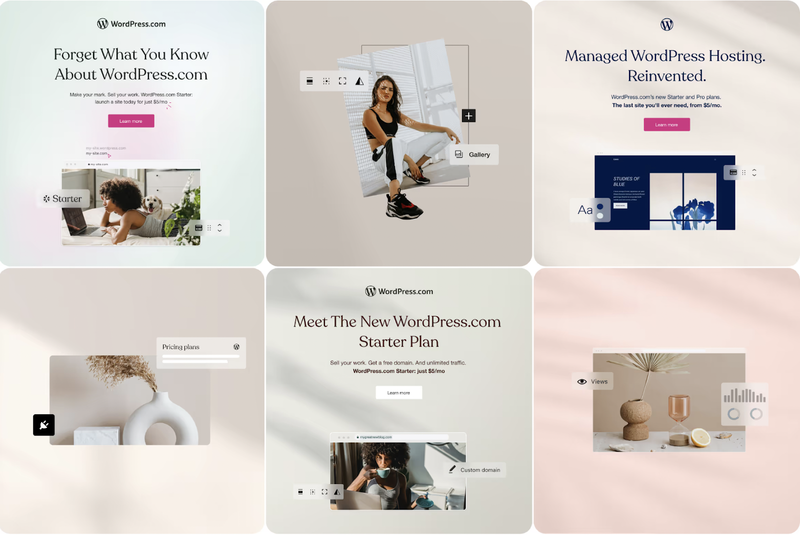 WordPress typography and visual identity example.