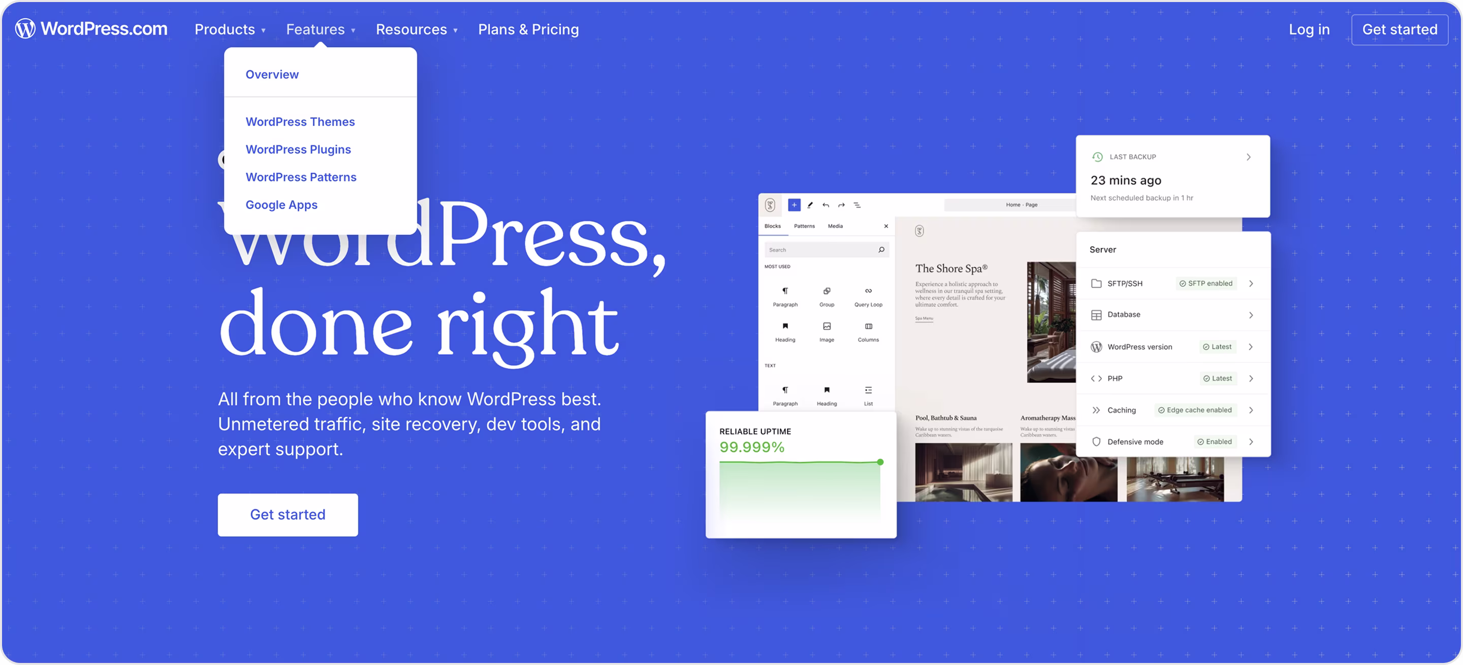 WordPress website home page