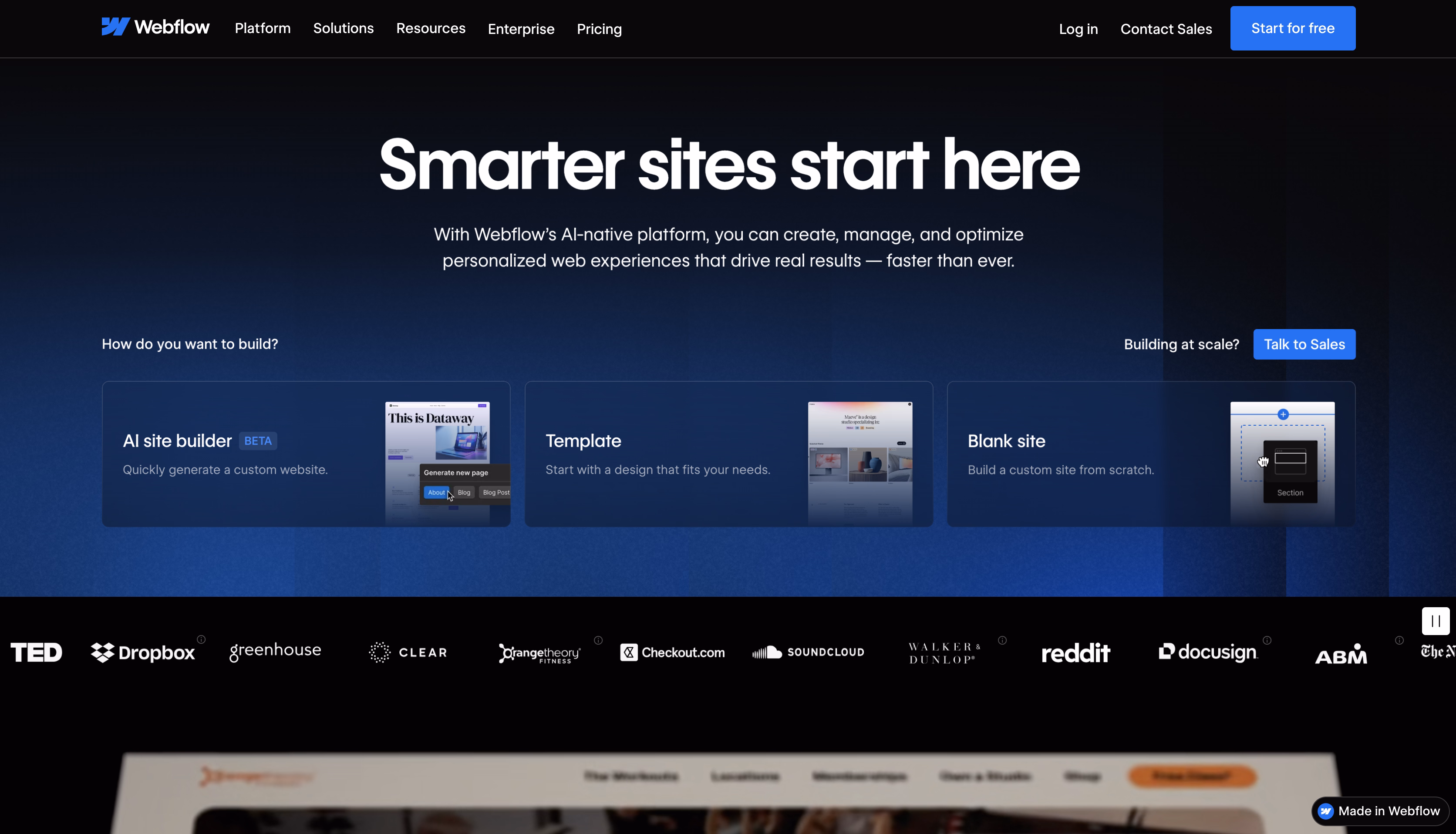 Webflow homepage example