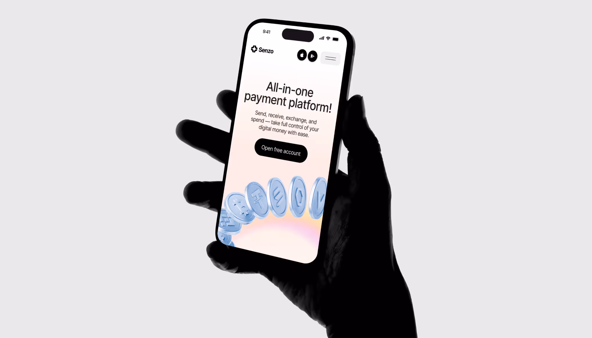 Senzo case study example
