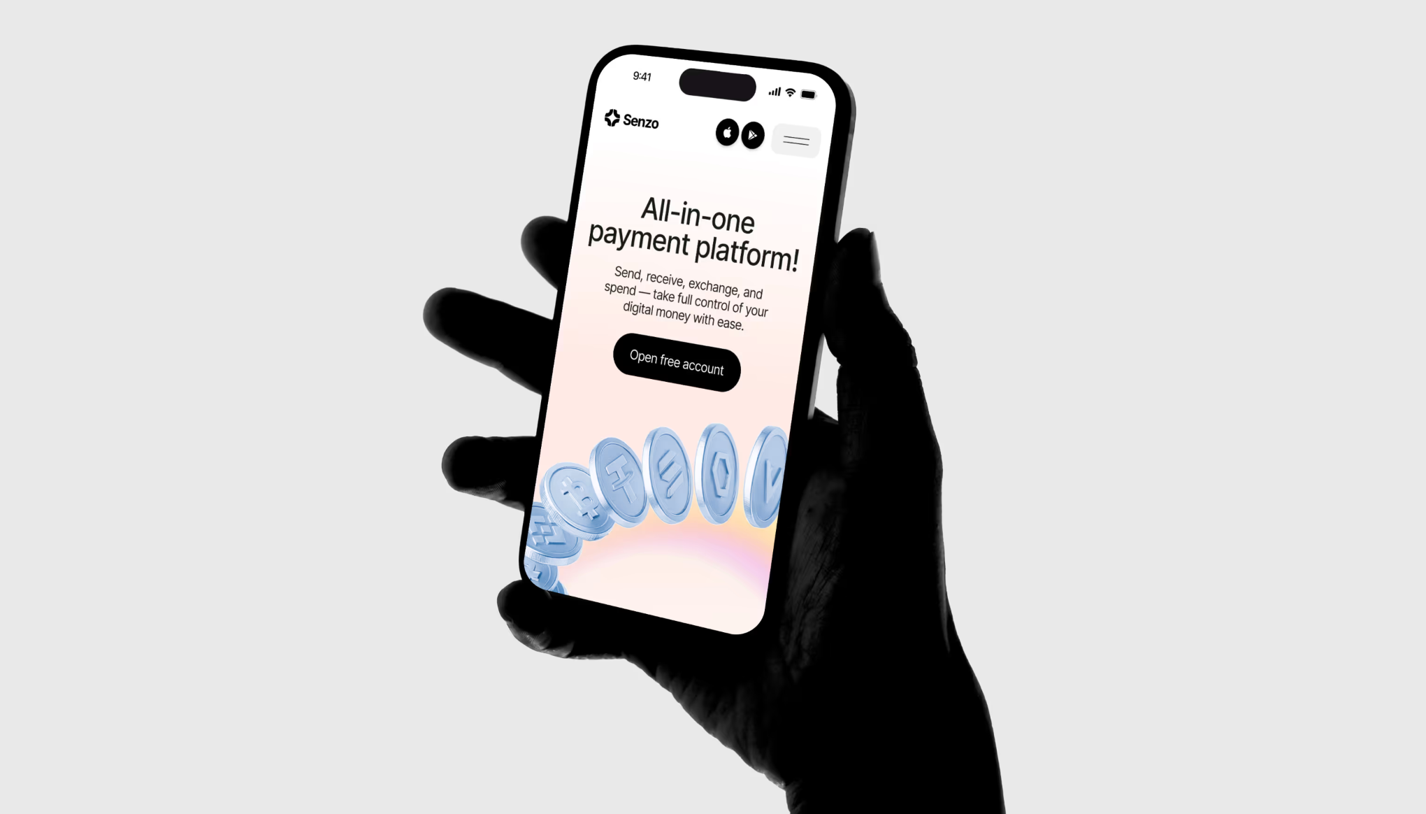 Senzo case study example