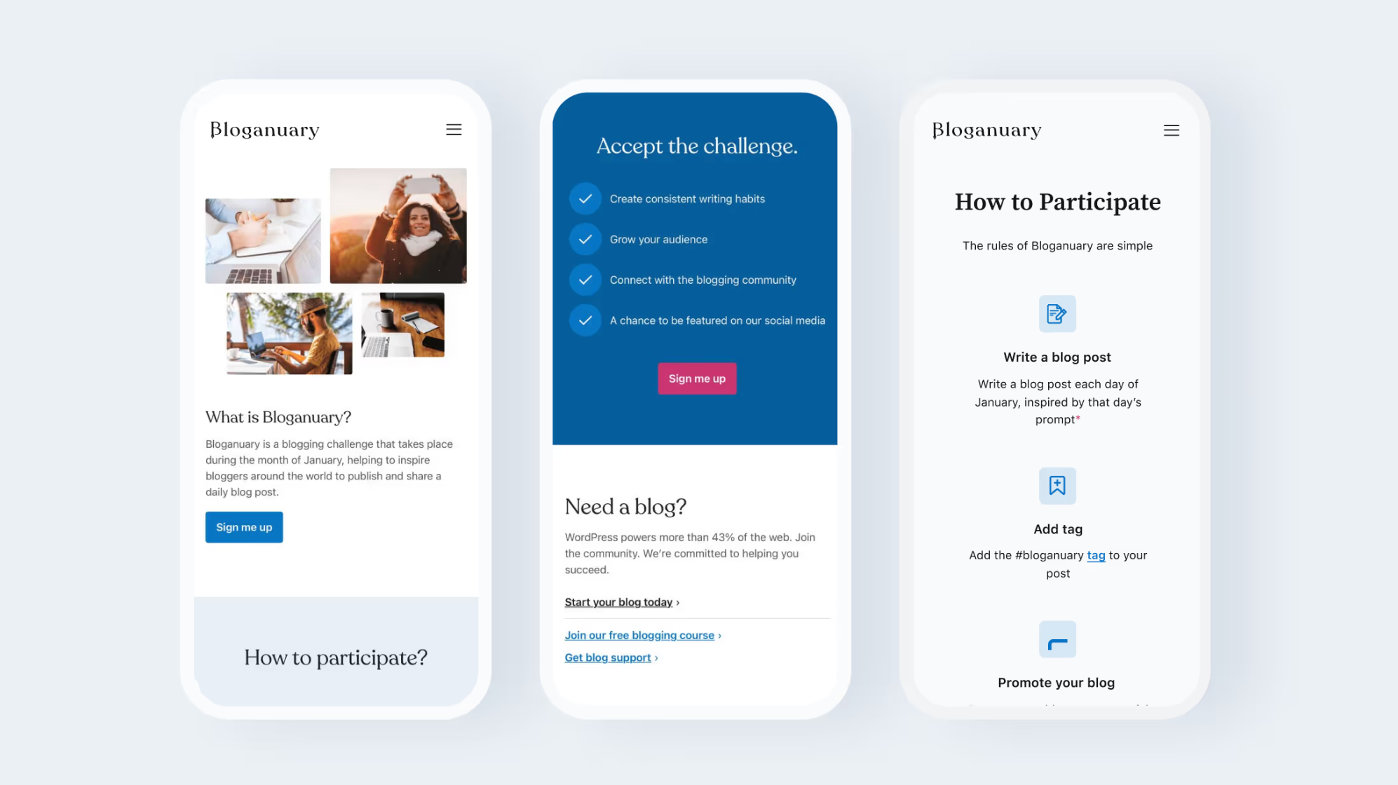 WordPress case study example