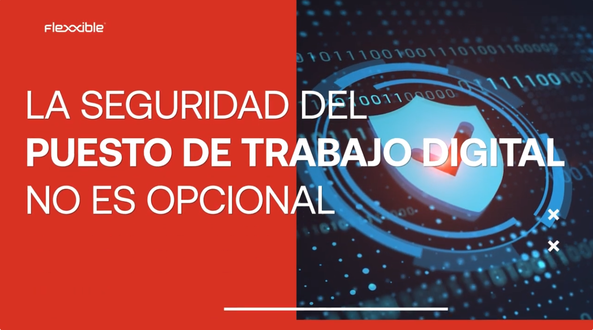 Seguridad con Flexxible