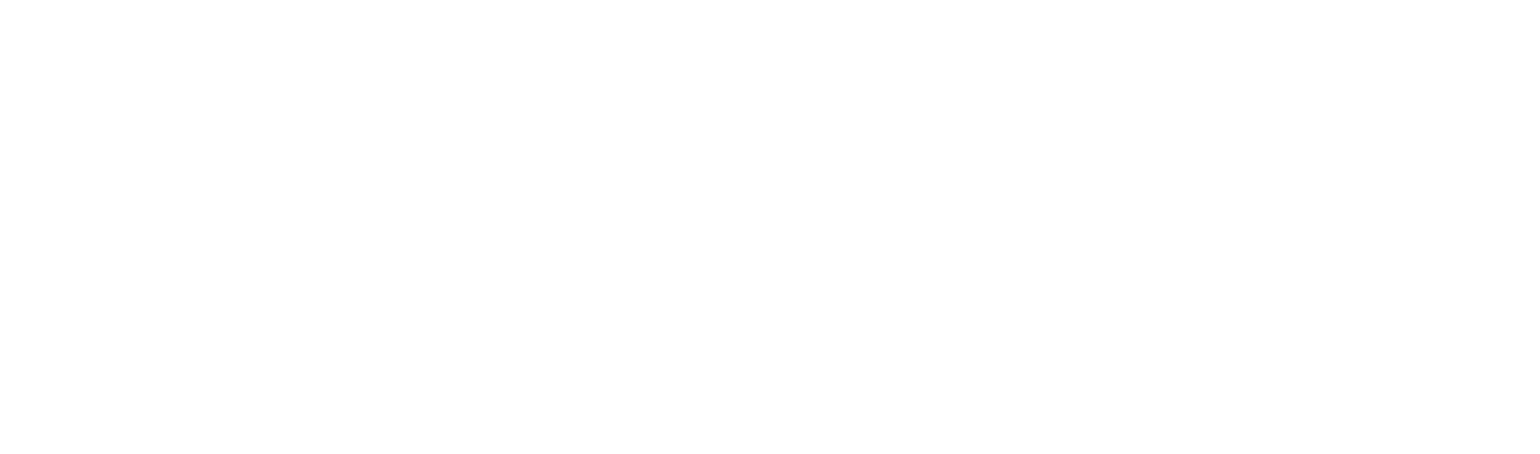 Really Interactive Logo
