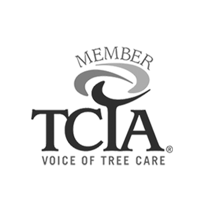 TCIA Logo