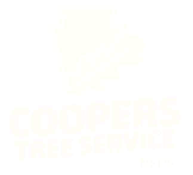 Coopers Tree logo