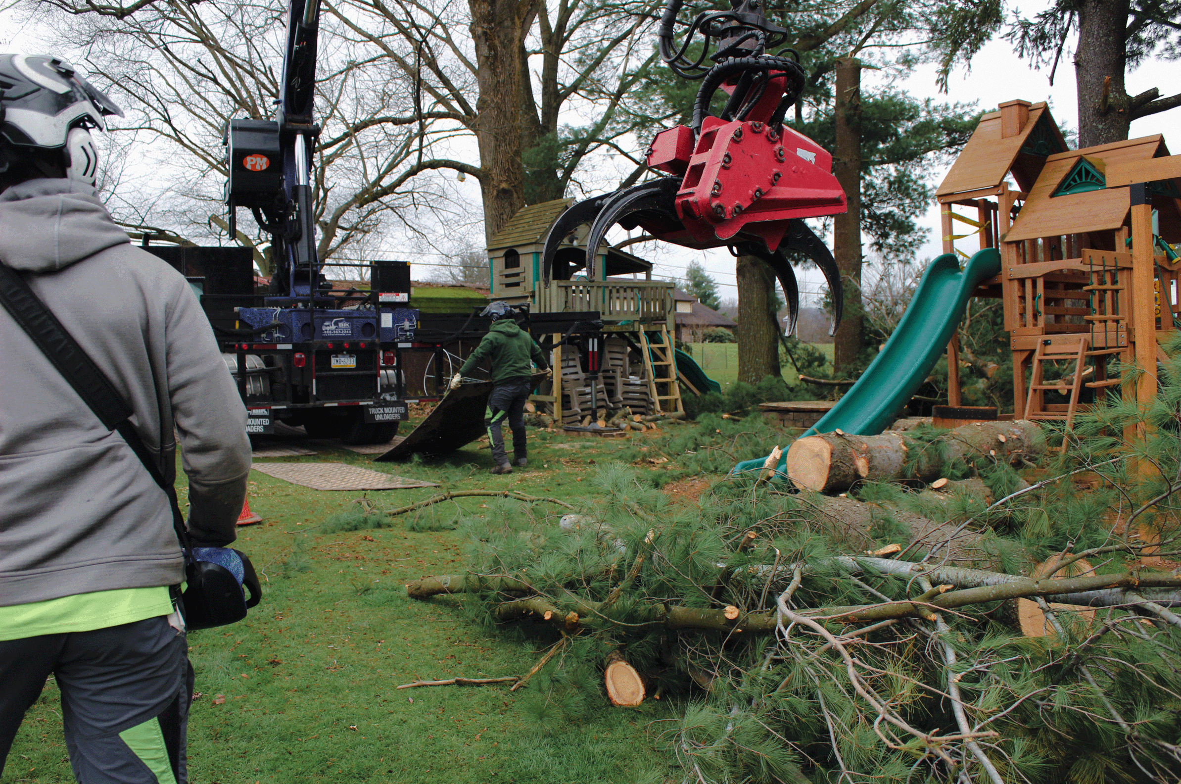 arborist using grapple on trees