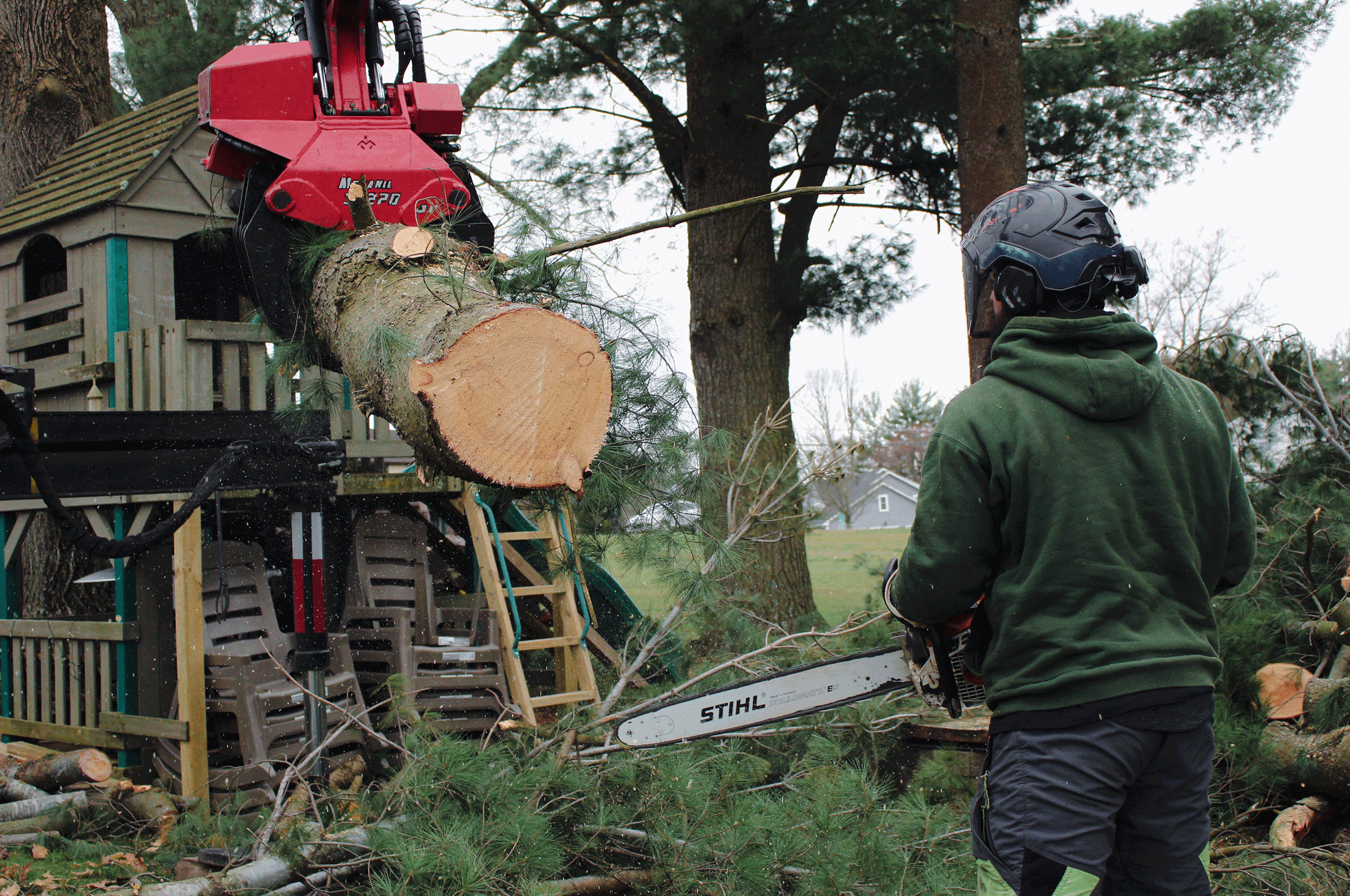 arborist cutting log