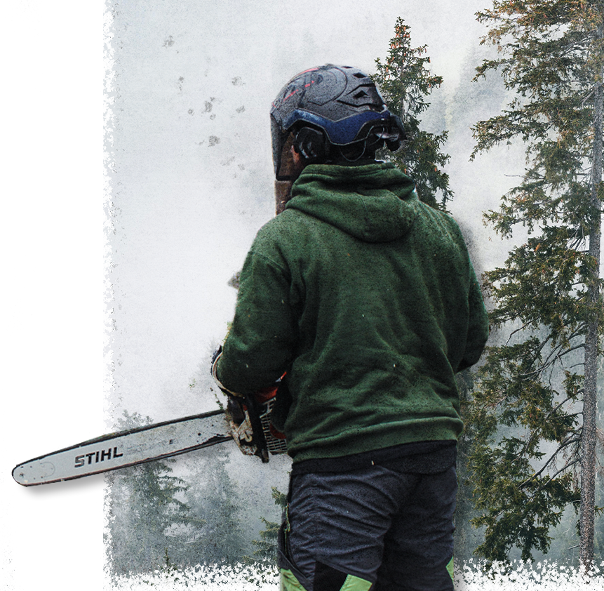 arborist with chainsaw