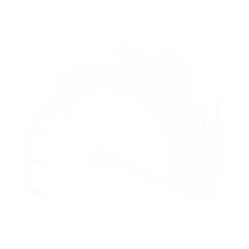 Icon für schnelle Ladezeiten: Performante Webdesign-Lösungen für Freelancer.