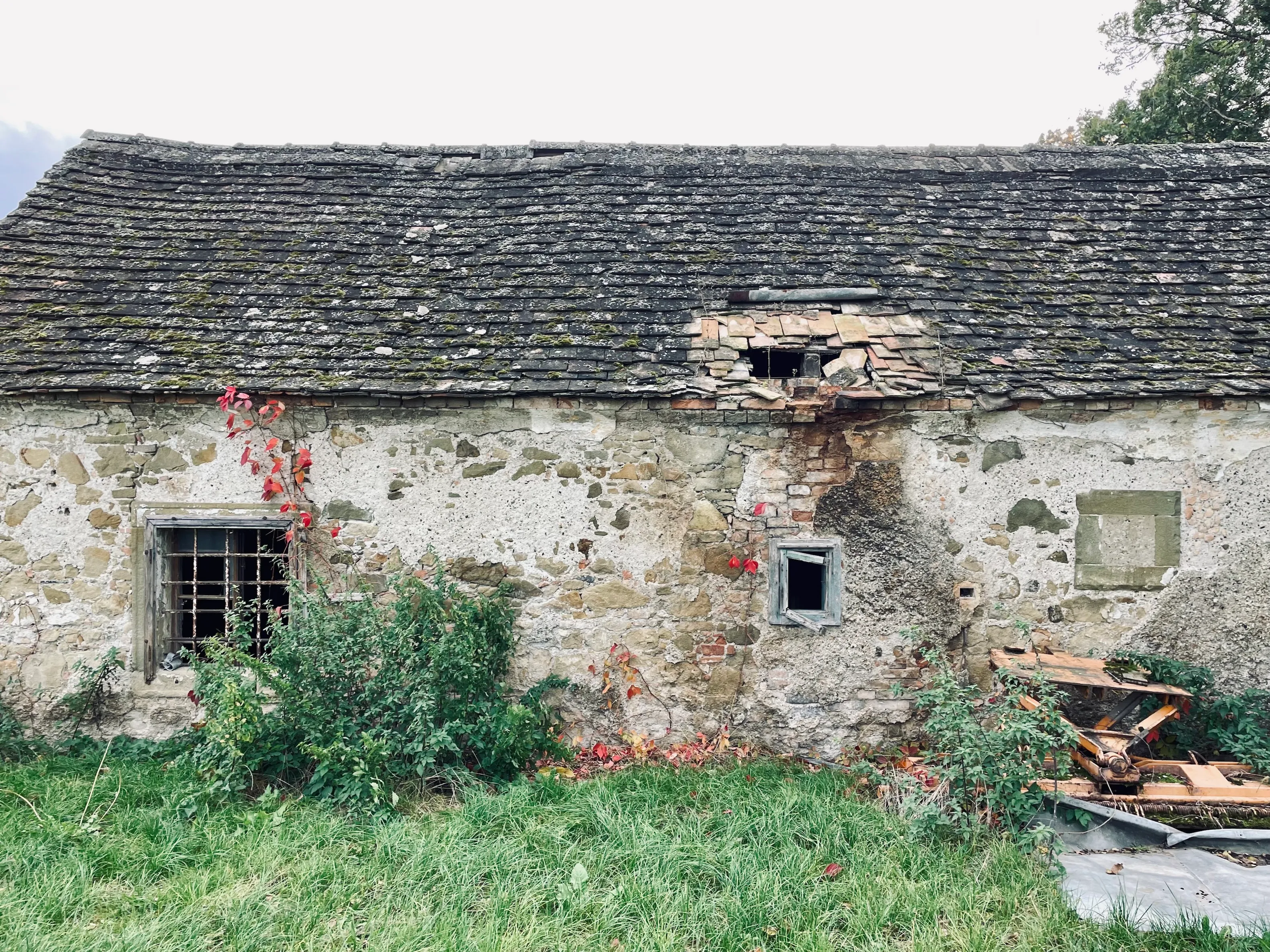 Rural house