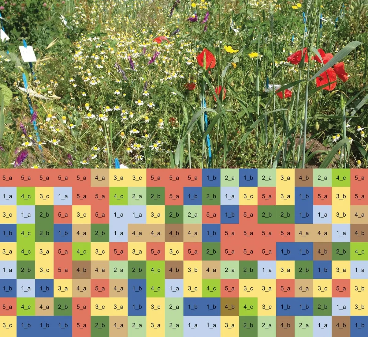 Pixel farming