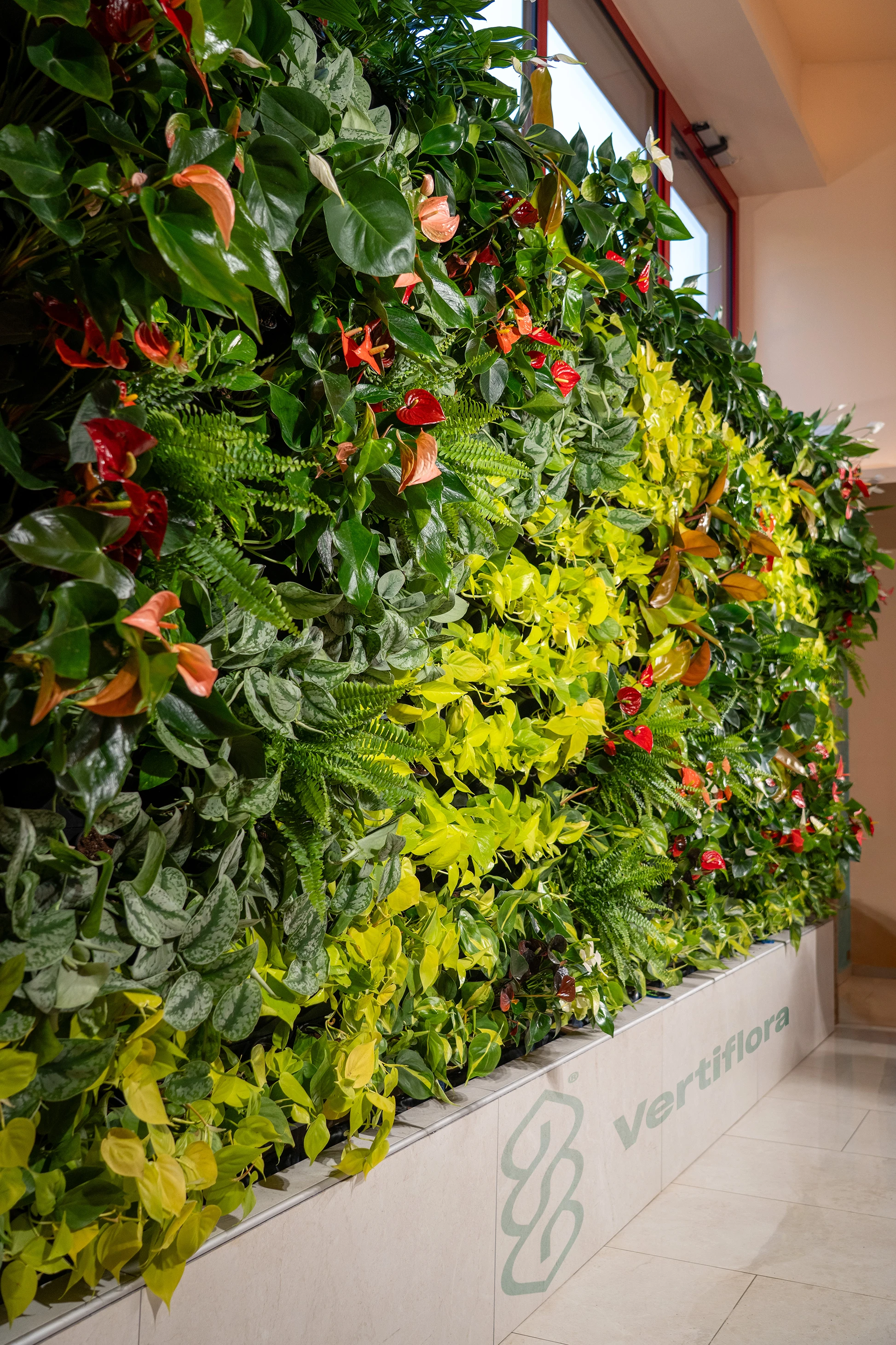 sümeg élő zöldfal