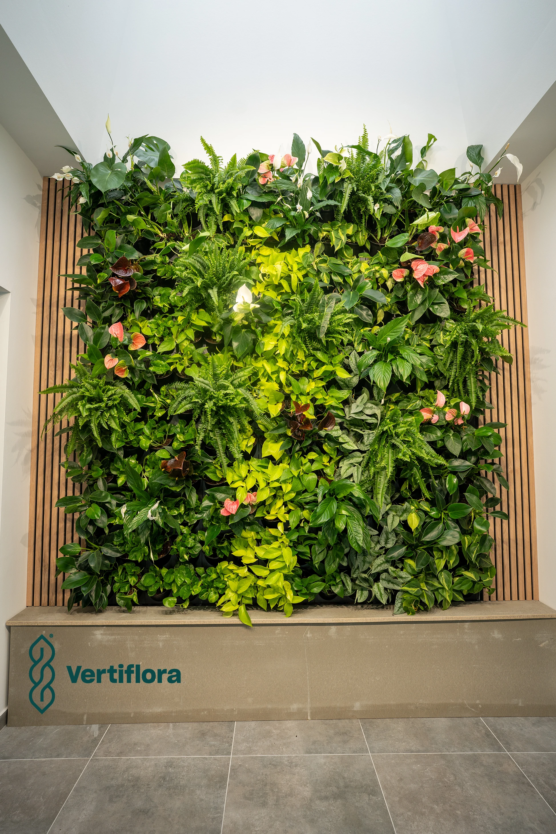 zöldfal szemből közelről