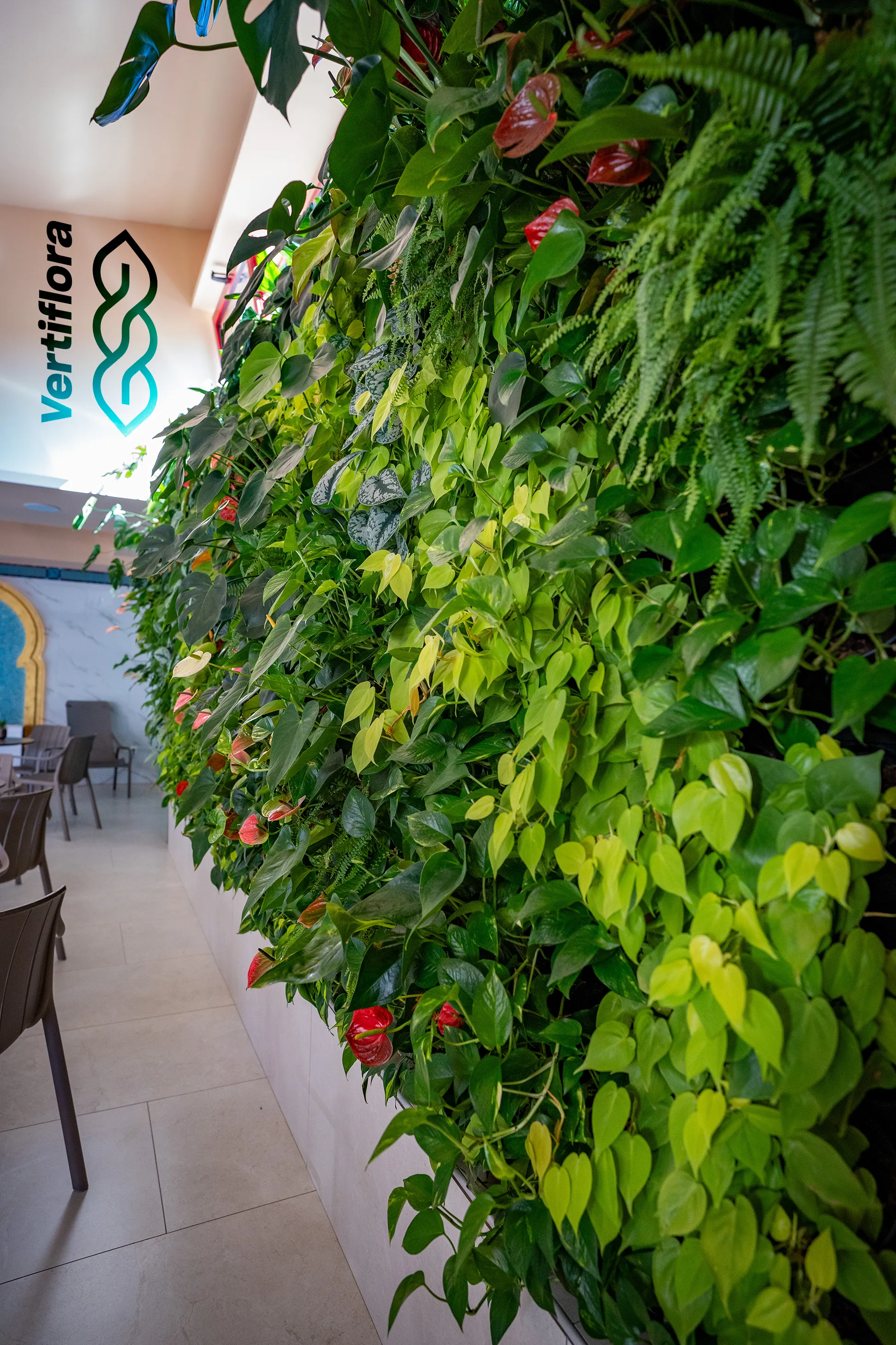 zöldfal közelről fél éves