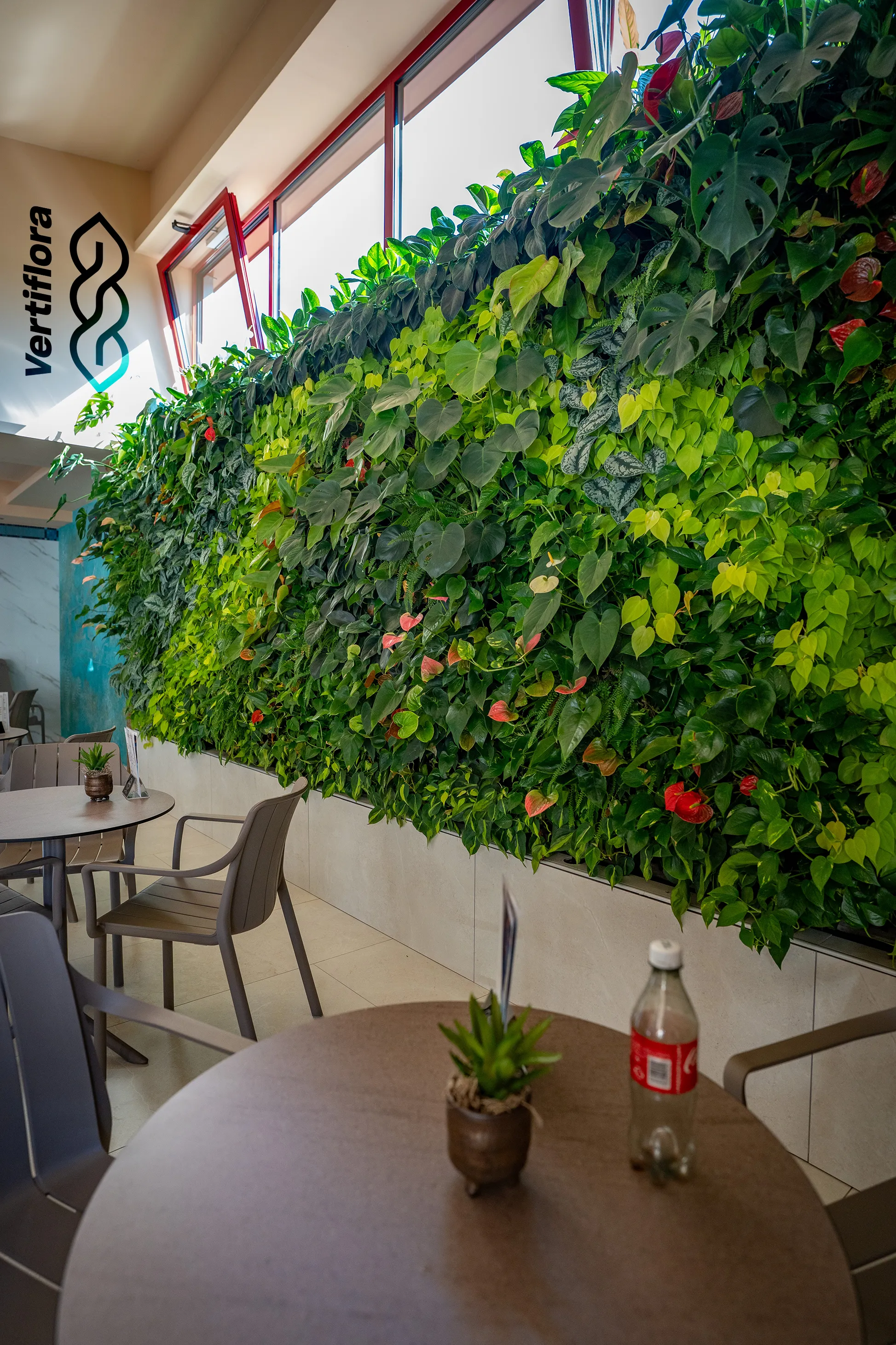 zöldfal oldalról fél éves