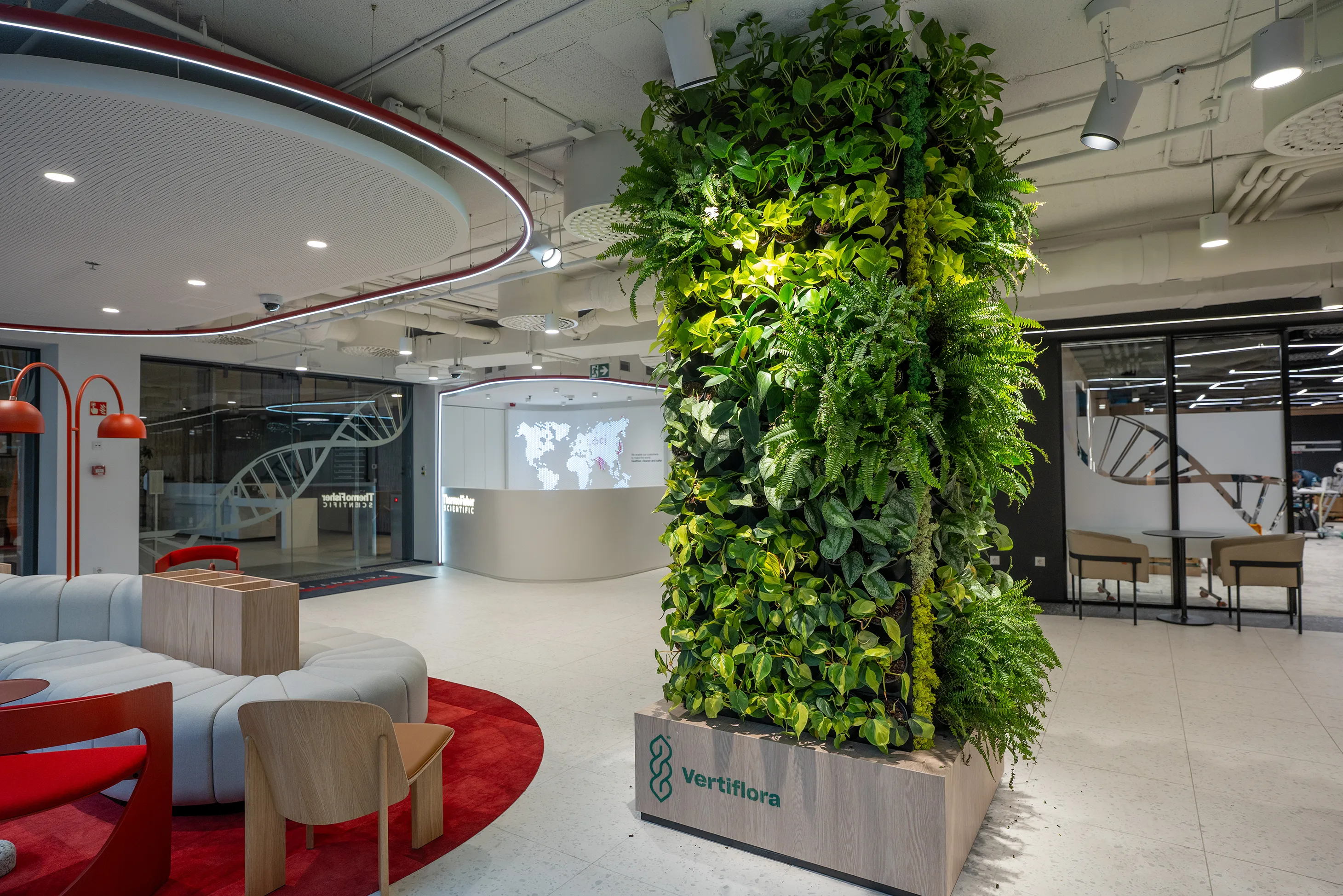 Élő oszlopos zöldfal szemből