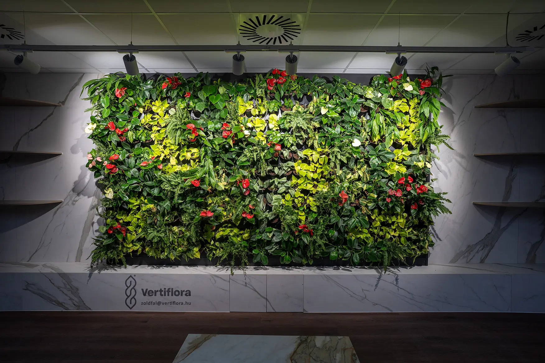 CHS Budaörs zöldfal