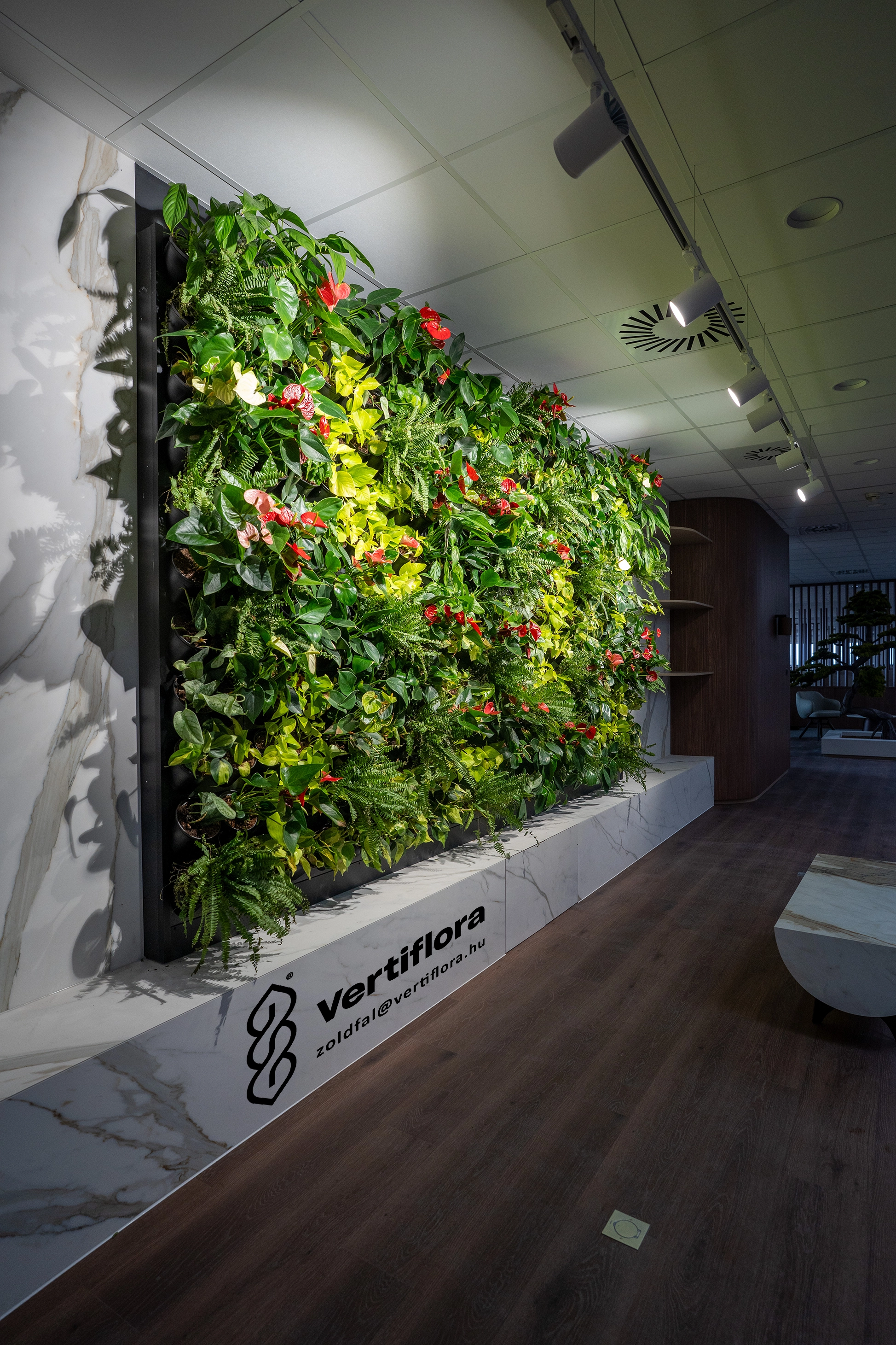 CHS zöldfal balról