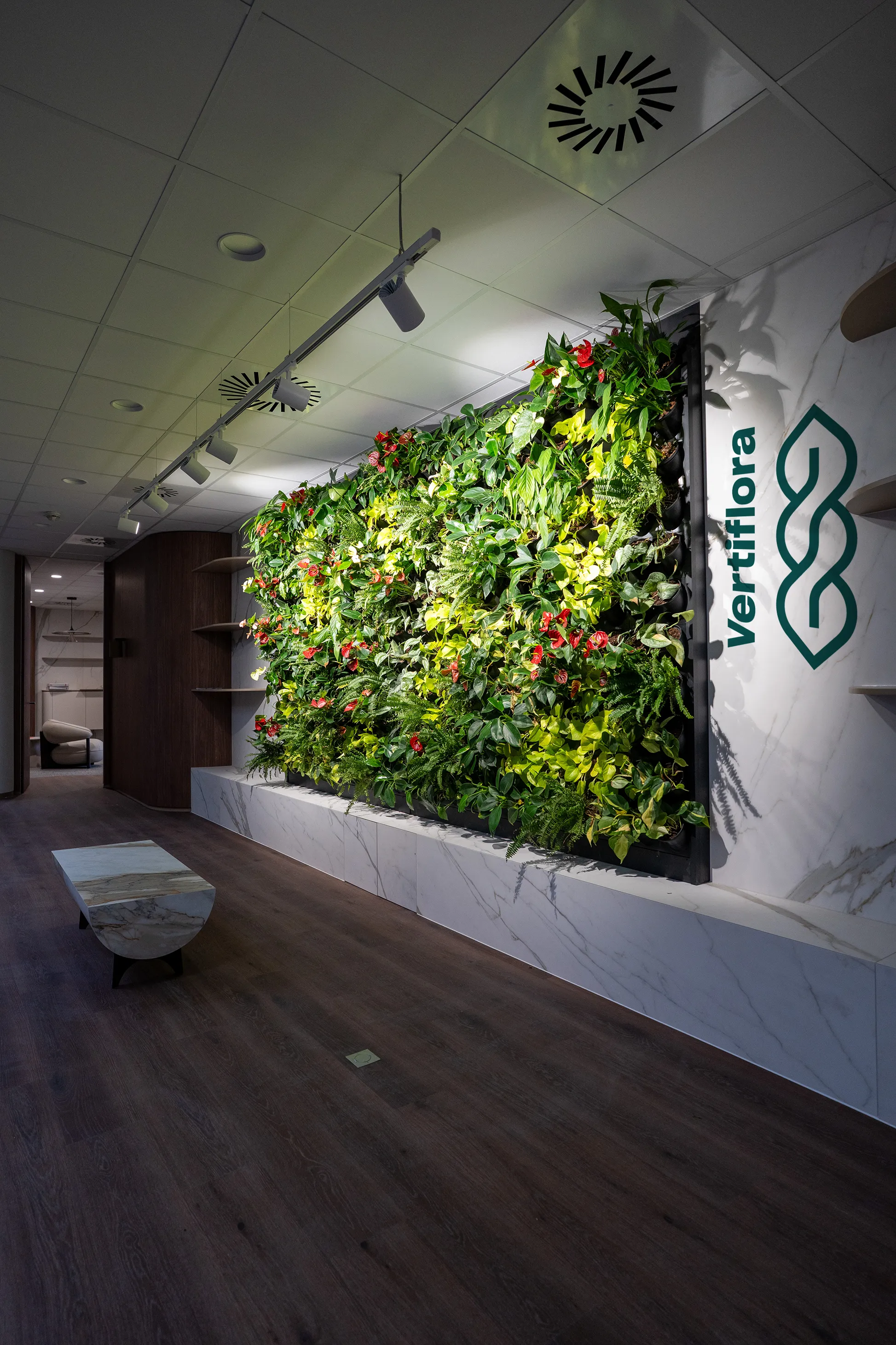 CHS zöldfal jobbról