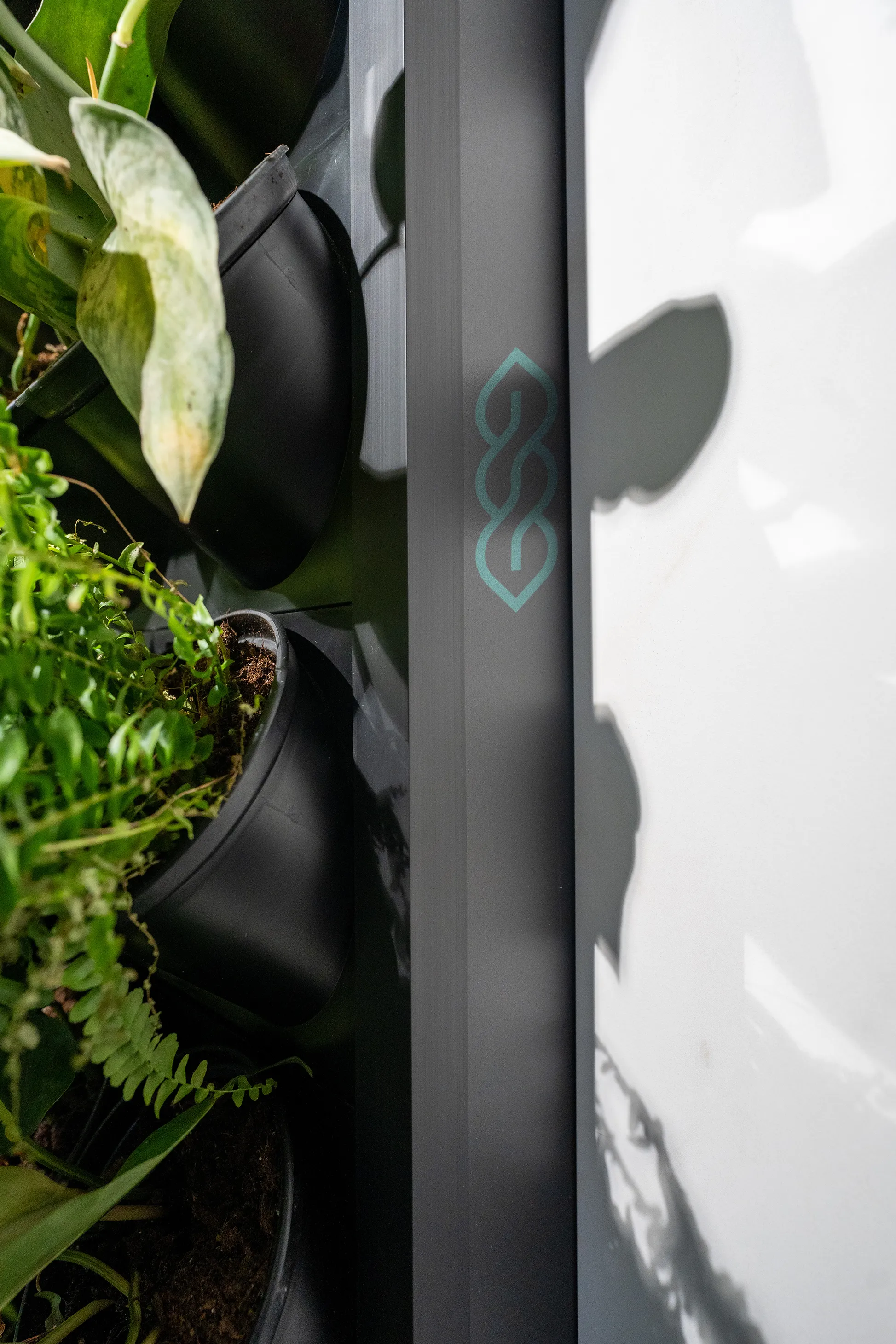 CHS zöldfal közelről