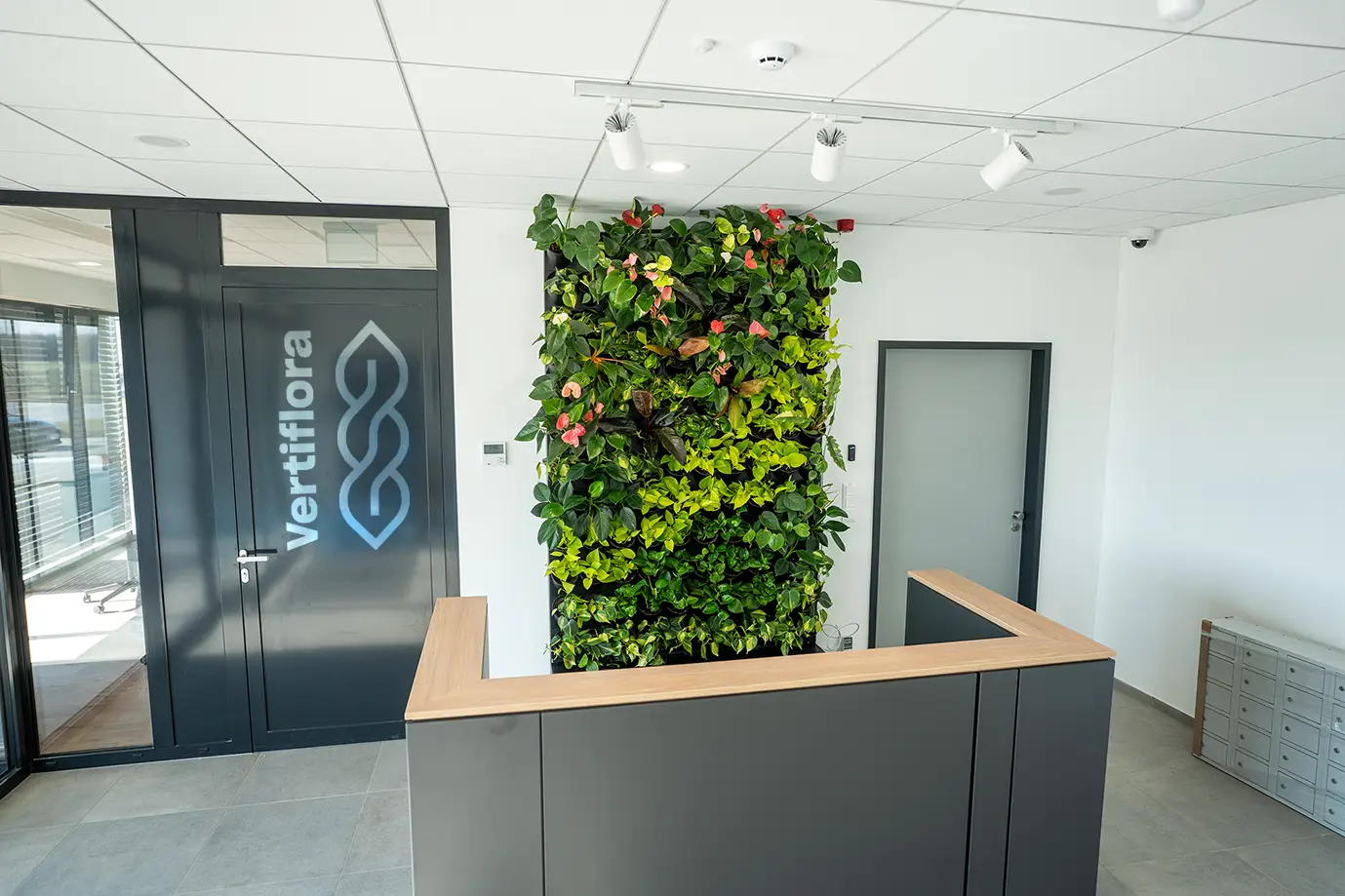 Irodai élő zöldfal