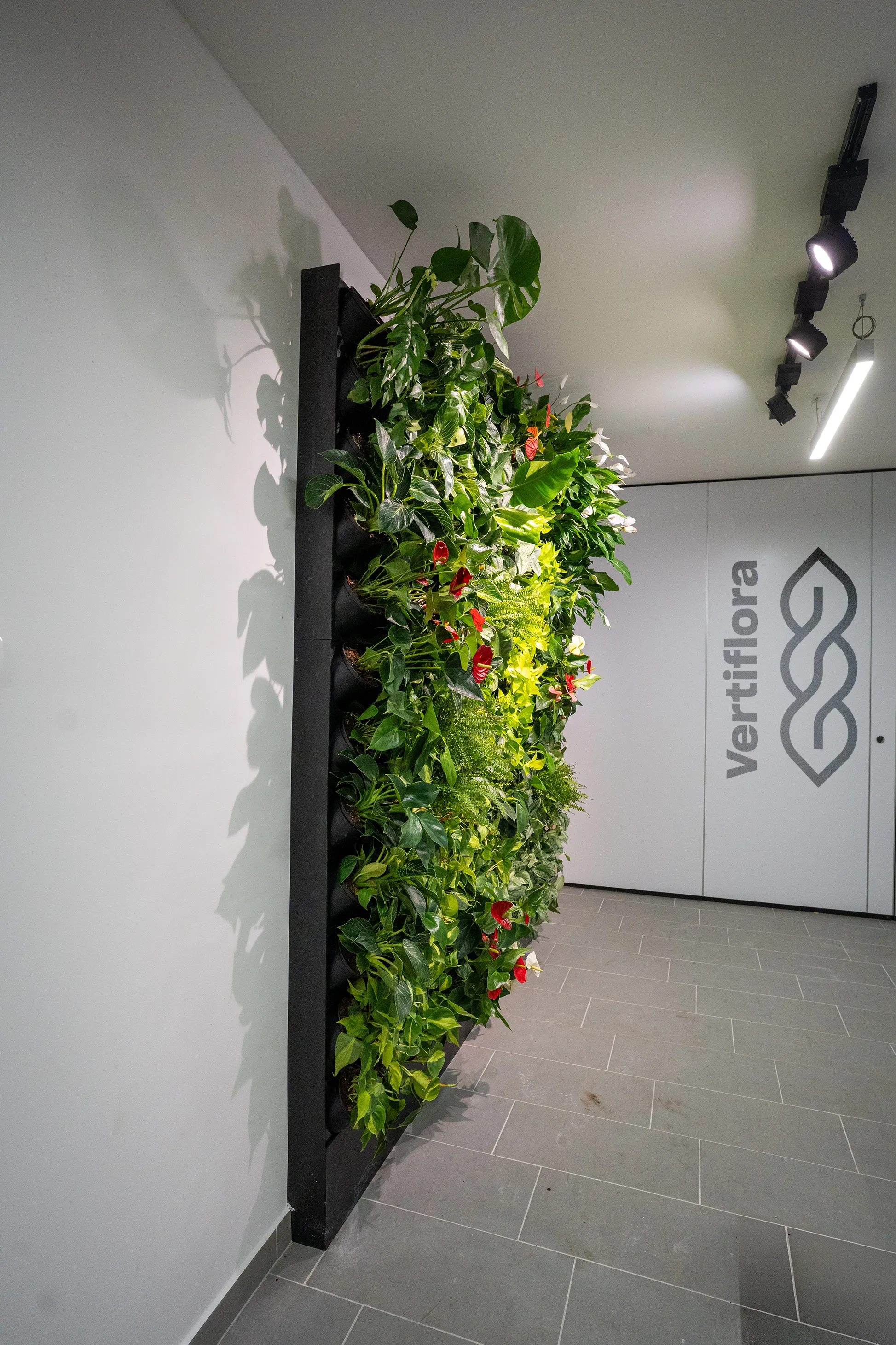 óvoda élő zöldfal oldalról