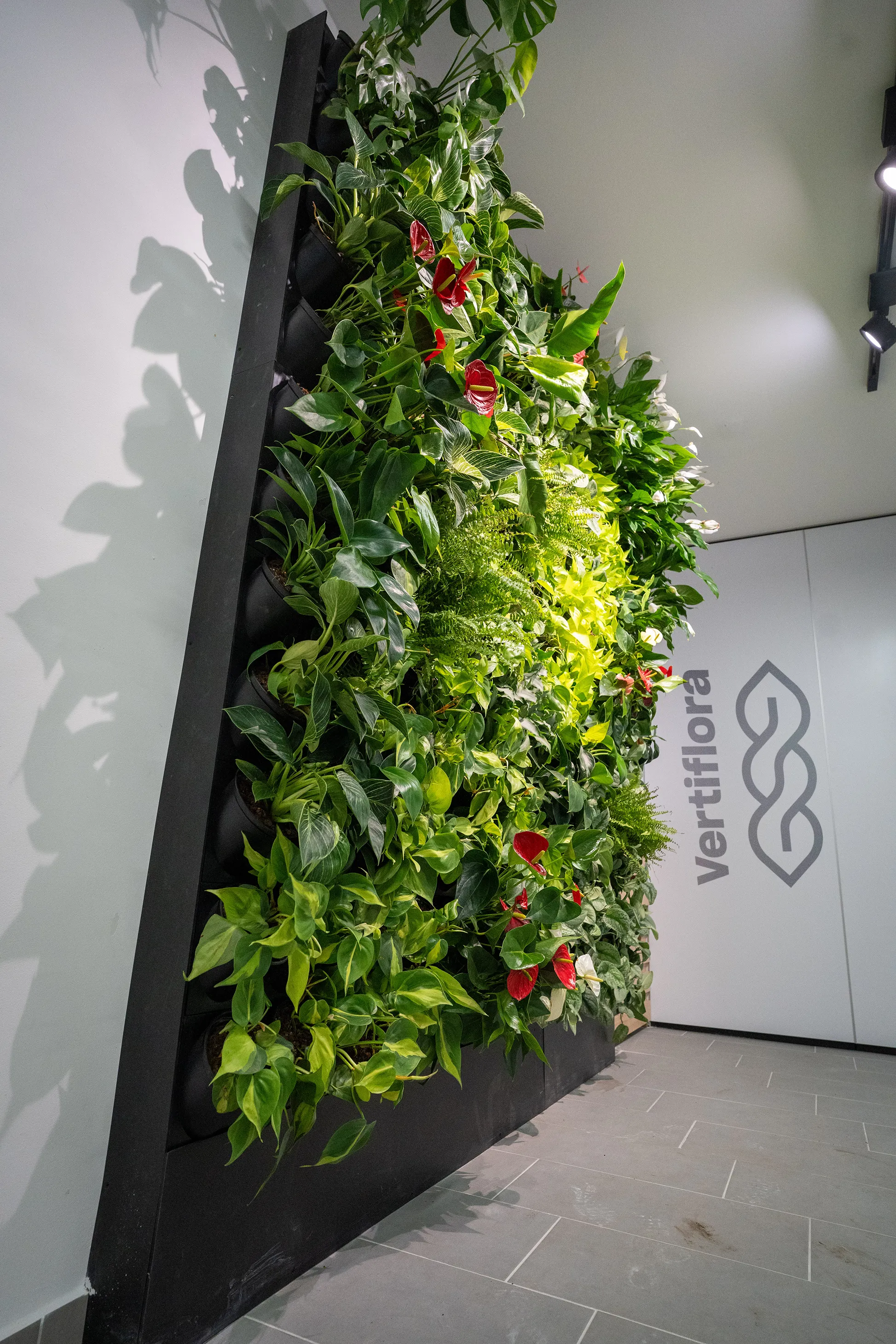 óvoda élő zöldfal alulról