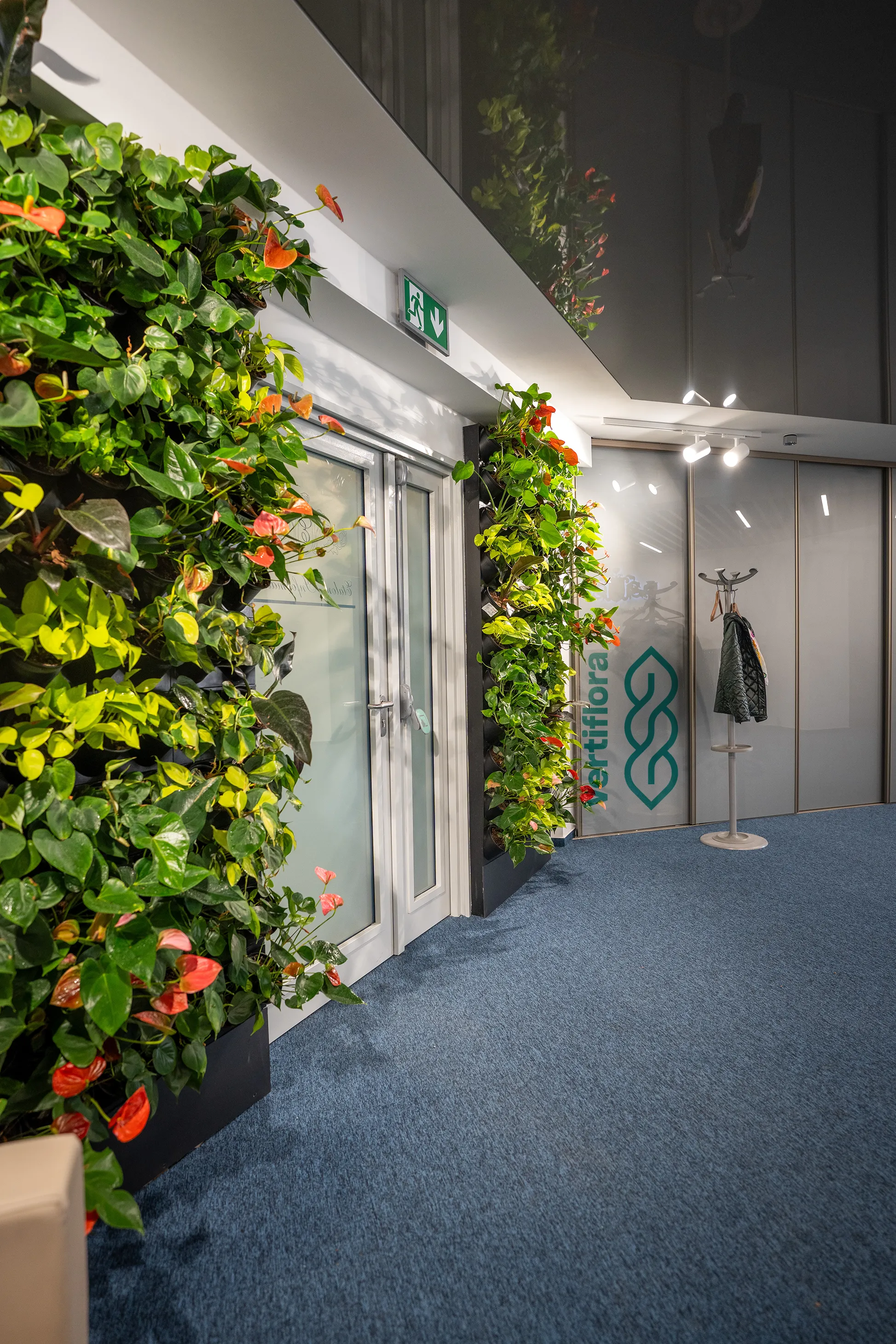 zöldfal közelről oldalról