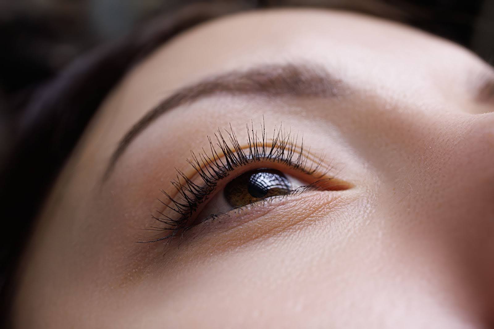 Macro image showing defined lashes after a lash lift.