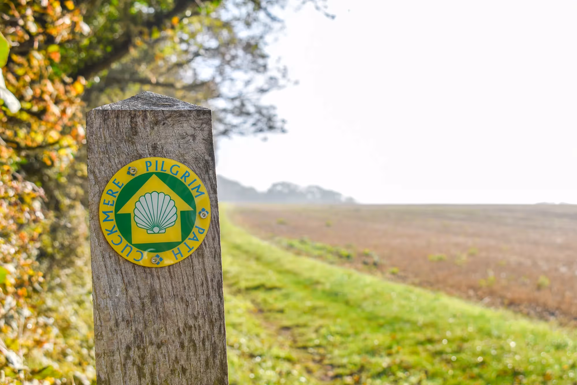 Cuckmere Pilgrim Path