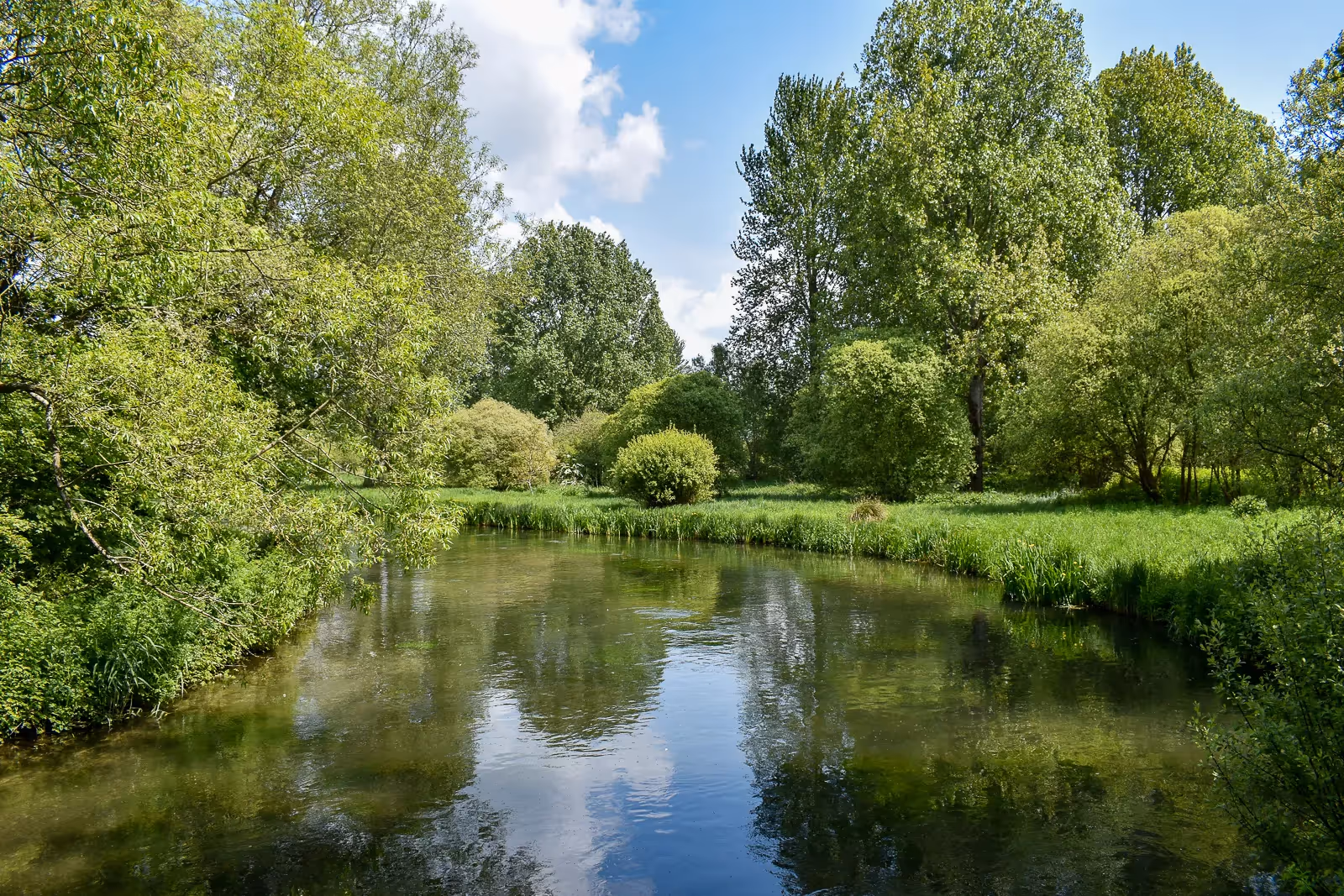 River Itchen Way